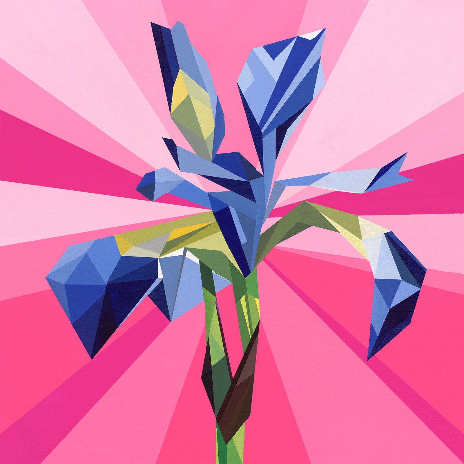Isabella (Limited Edition Print)