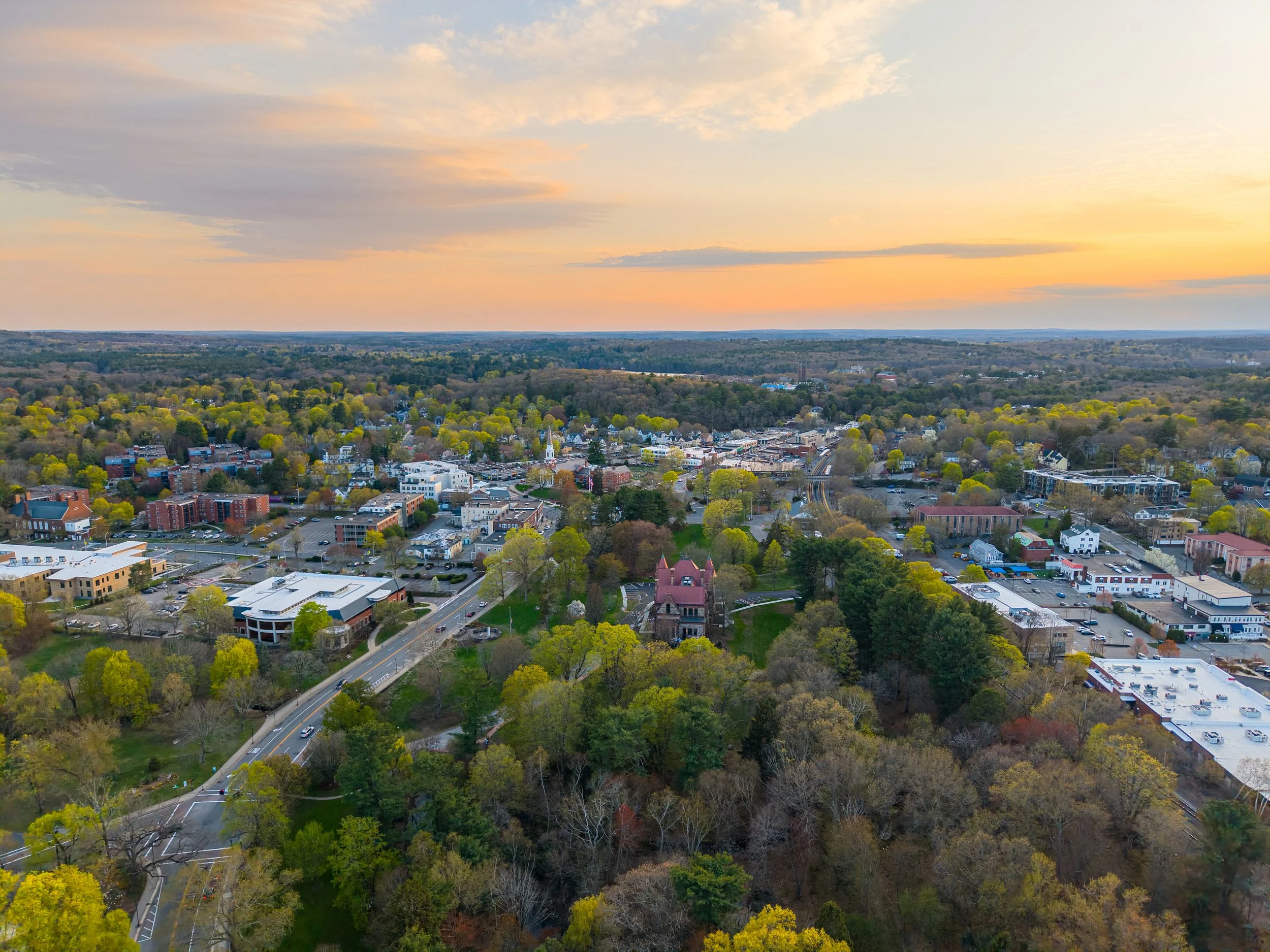 Why Athletes &amp; Executives Choose Wellesley