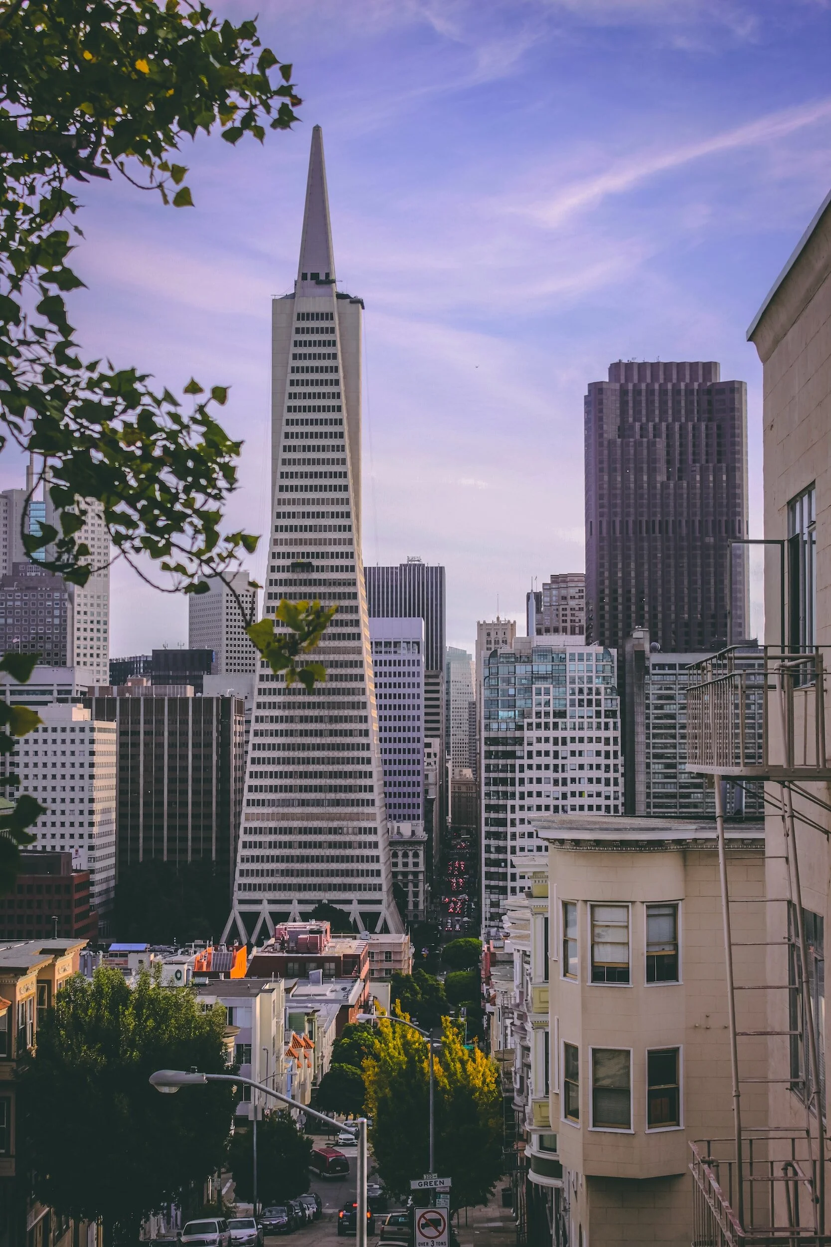 Cityscape of San Francisco featuring the Transamerica Pyramid building surrounded by tall skyscrapers, with residential streets and trees in the foreground.