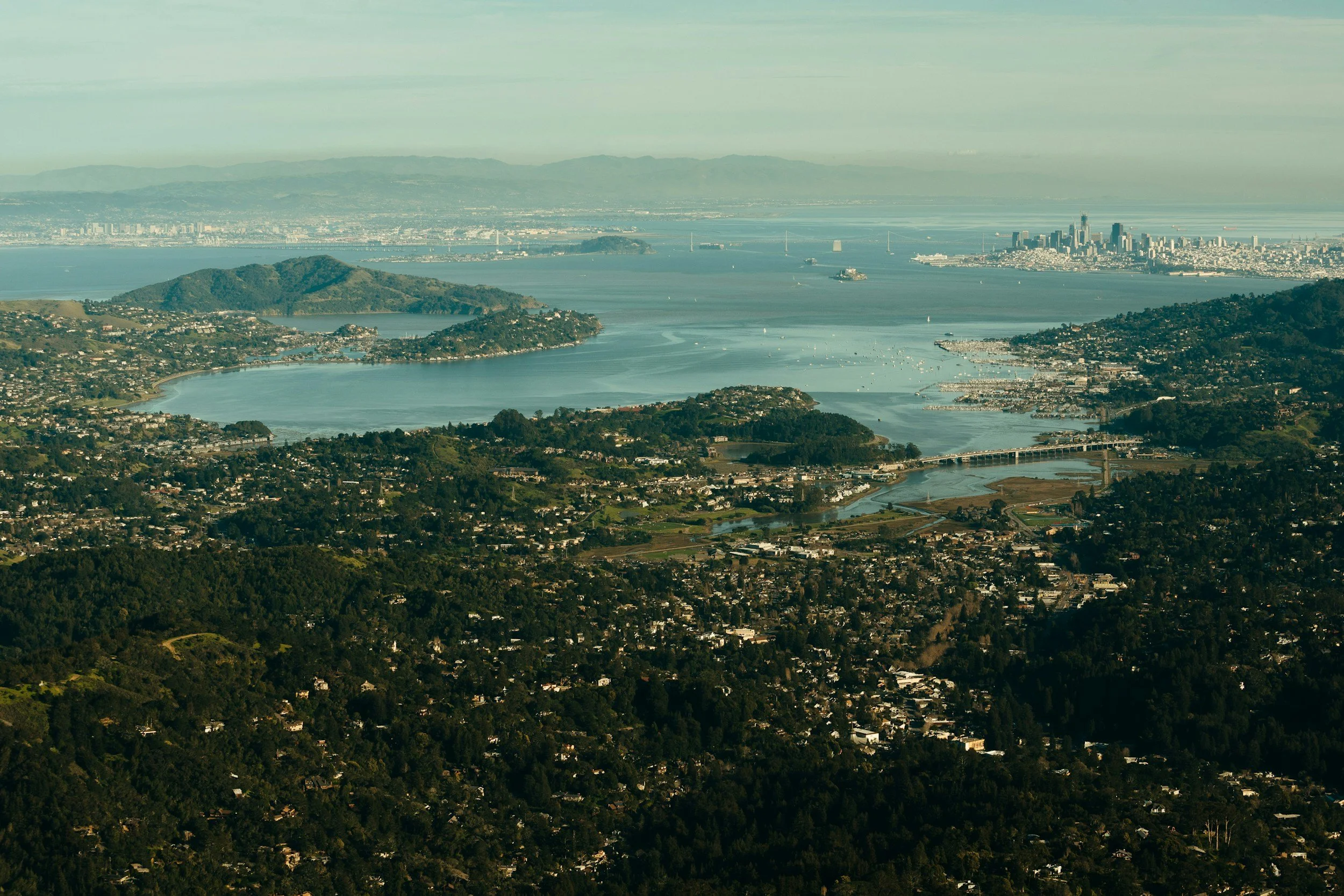 East Bay vs. San Francisco vs. The Peninsula: