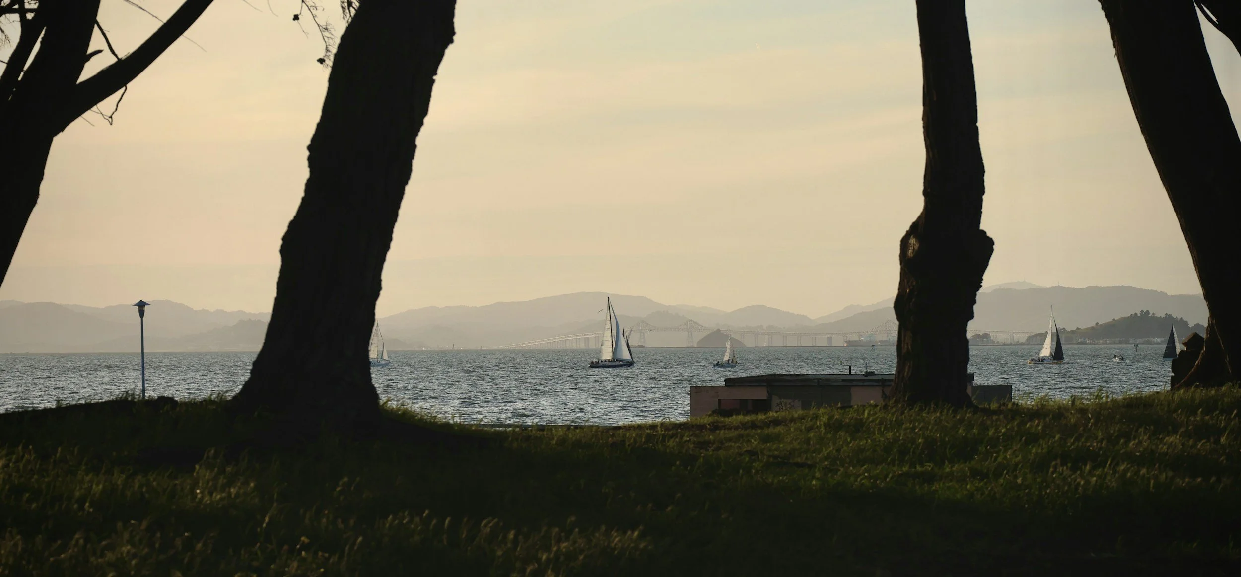 Berkeley Hills vs. Twin Peaks: Choosing a Bay Area Neighborhood for Life, Legacy & Livability.