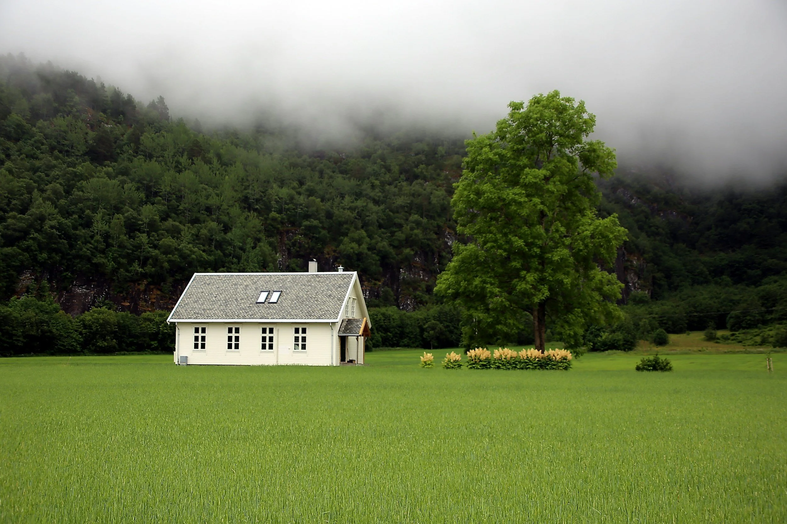Finding Sanctuary in a Noisy World