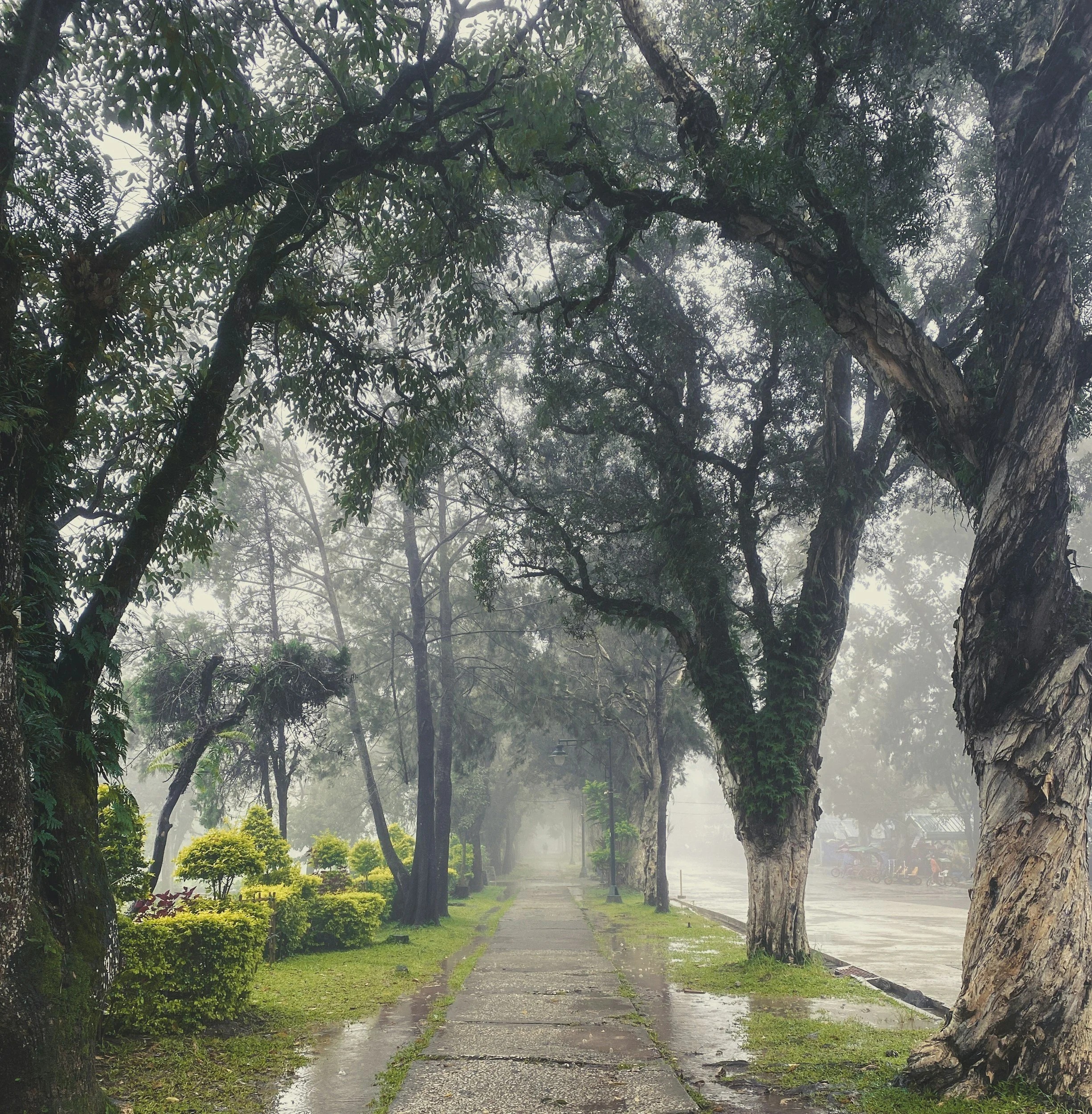 One South Drive Baguio City: A San Francisco Soul Finds Peace in the Cordilleras