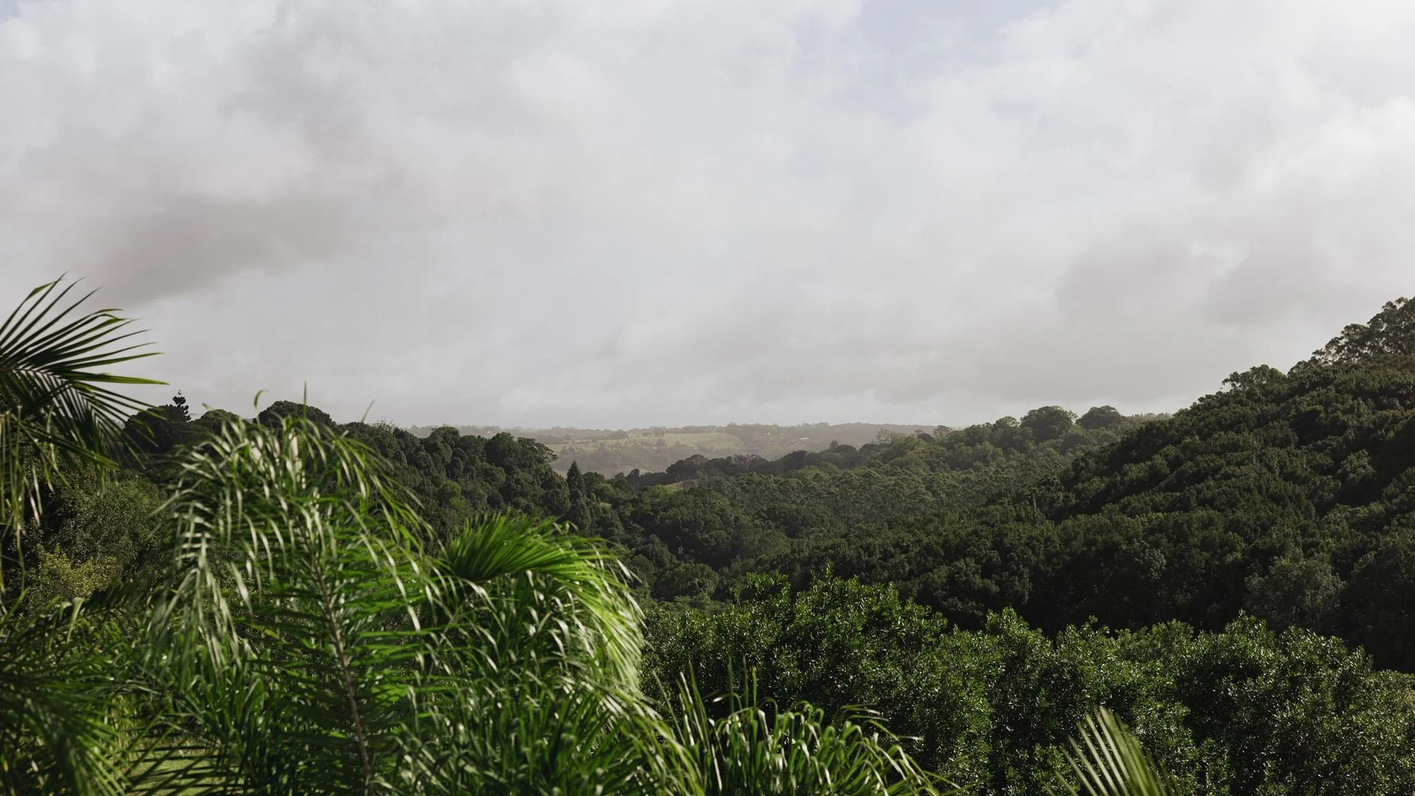 J&E-13.jpg