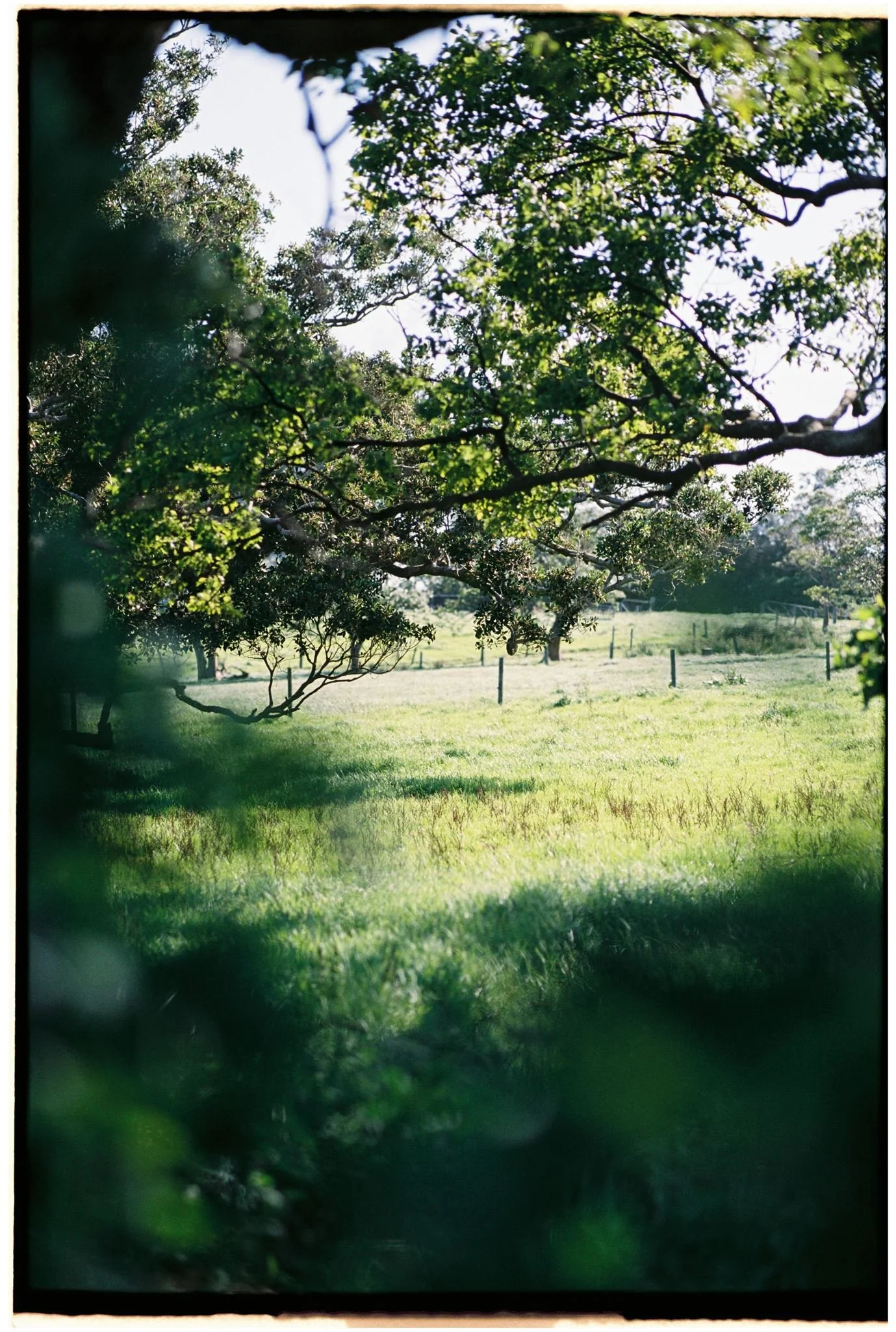 E&J C Borders-60.jpg