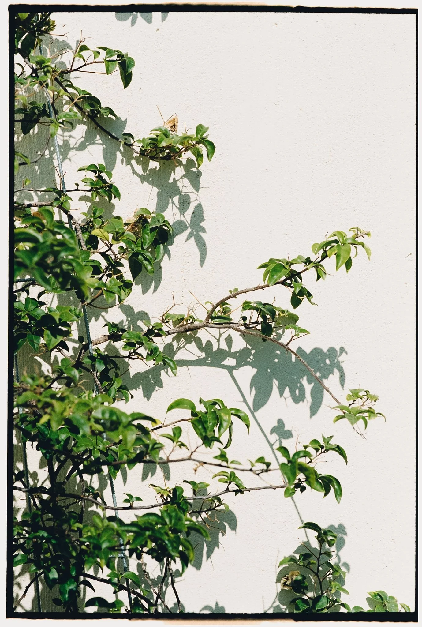 E&J C Borders-2.jpg