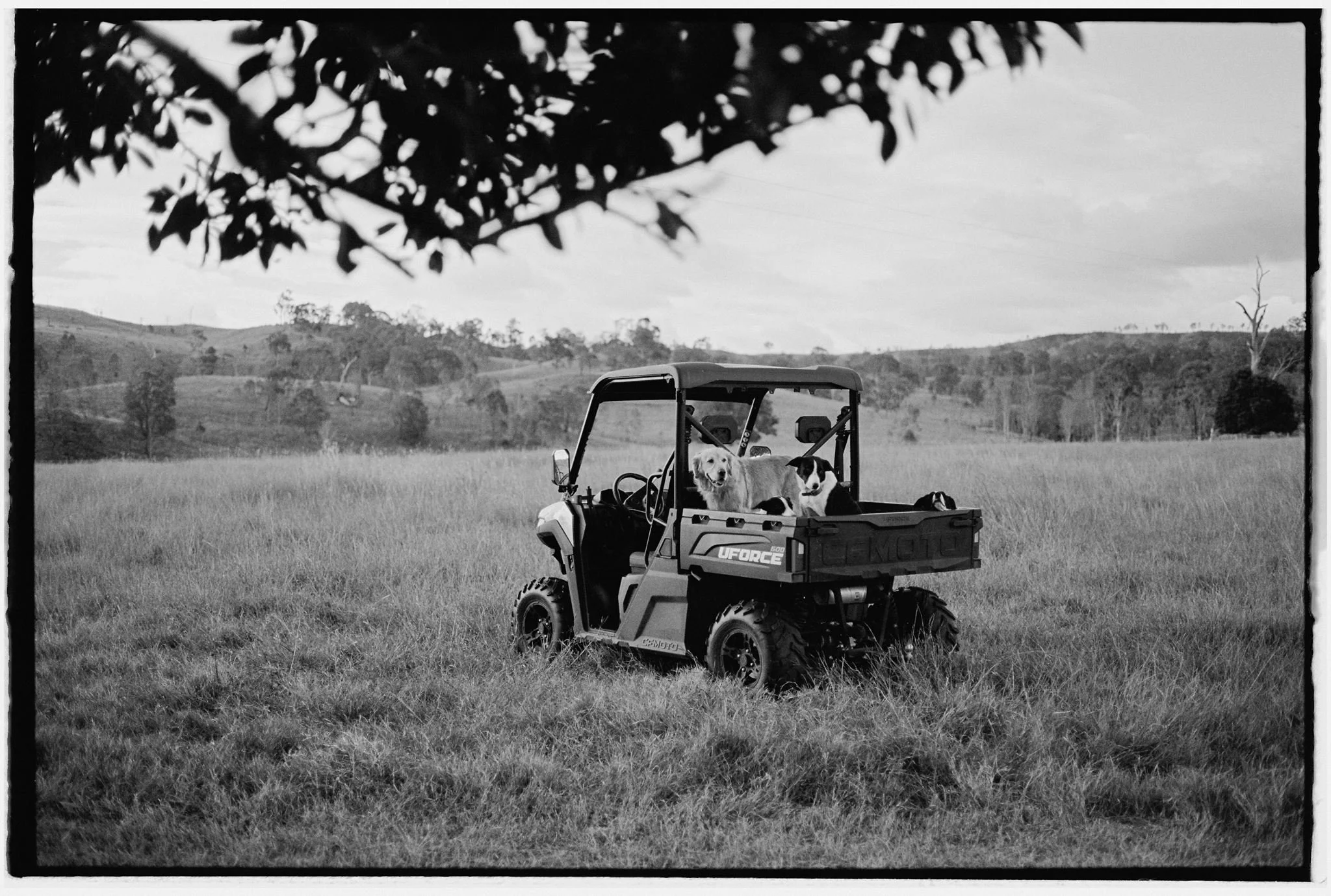 K&J-714.jpg