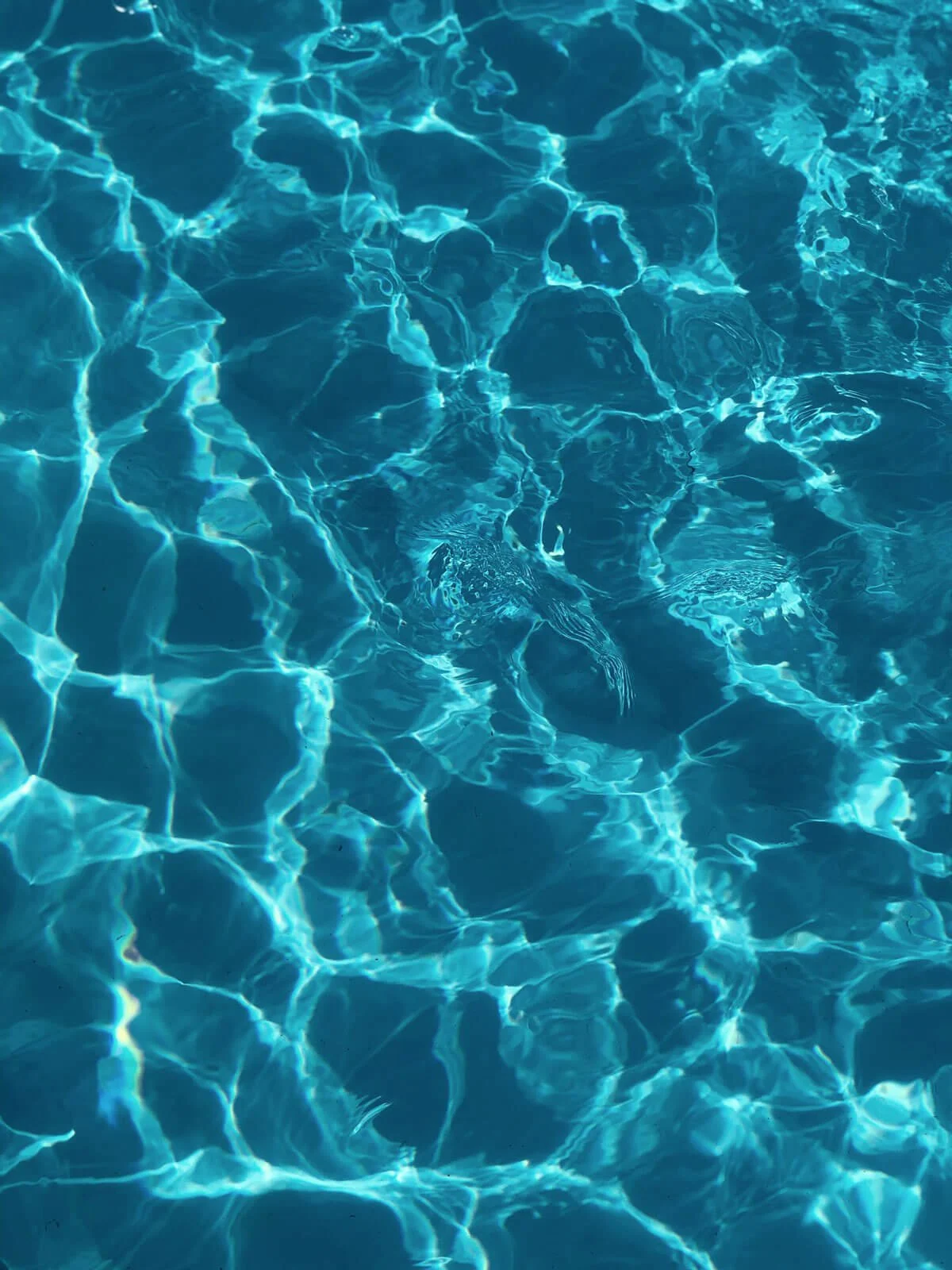 A swimming pool with clear blue water and sunlight reflections on the surface.