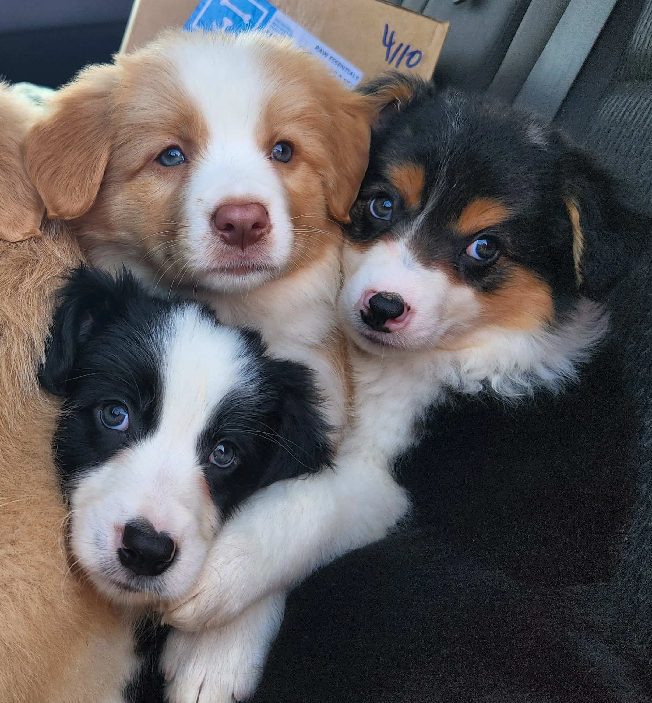 20231005_180613 boys.jpg