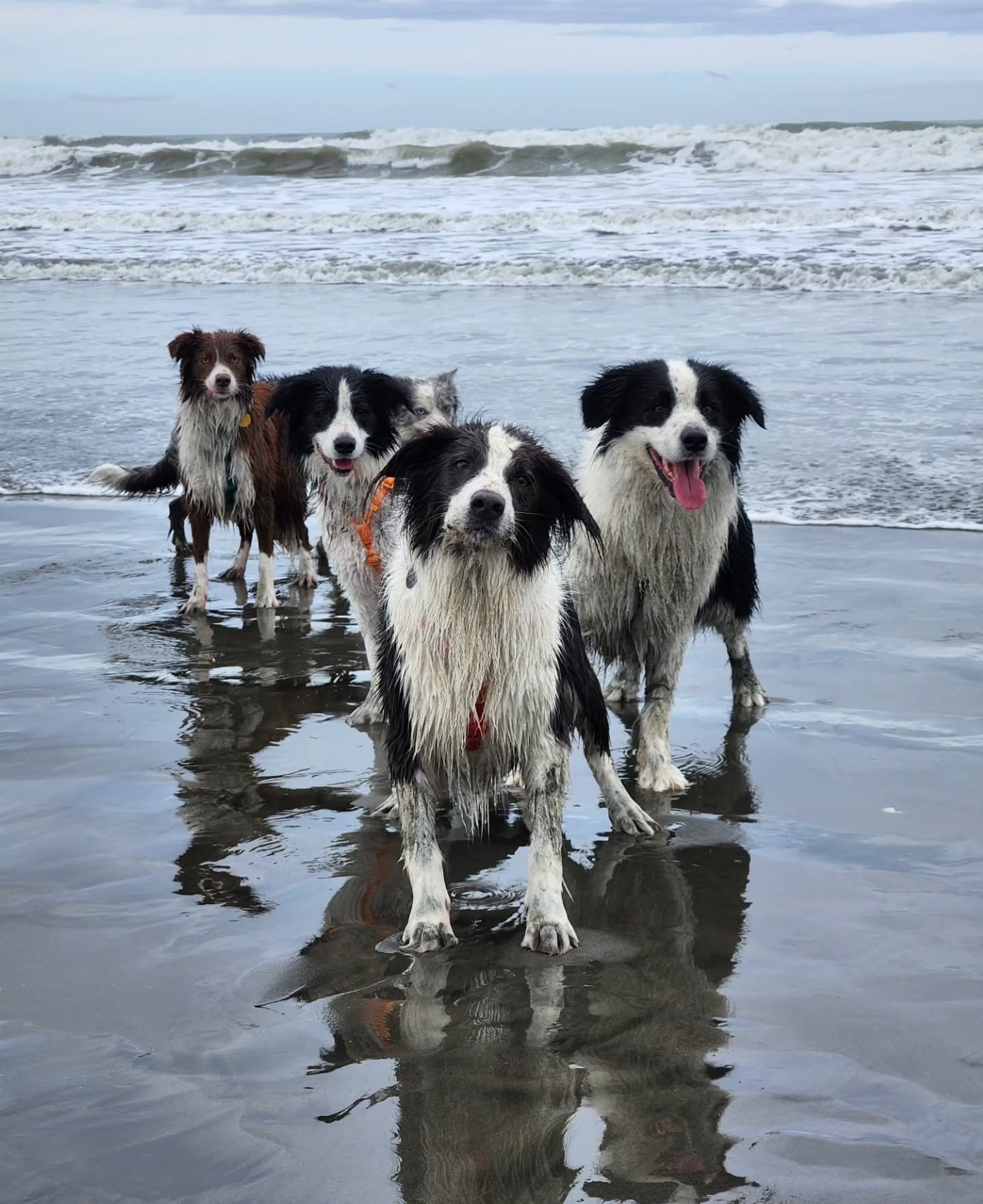 Hello 👋! 

We are back! After a much needed long break (2 months! 🫣) off Instagram, I am so happy to be back. Winter depression, puppy goodbyes, and a busy season of life later we are ready to share. 

Since our last posts/story uploads, we have sa