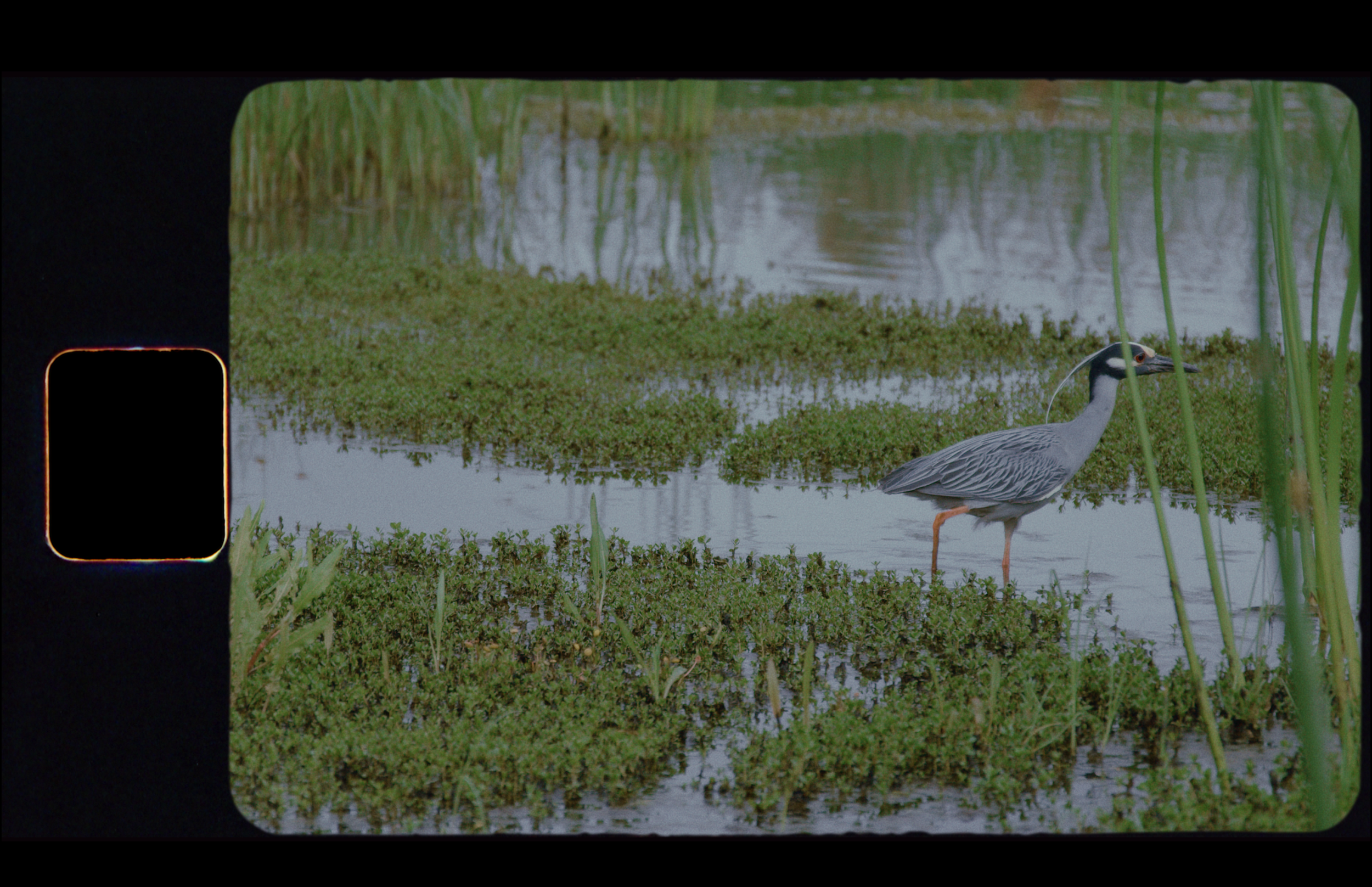 Screenshot 2025-06-19 at 10.02.06 AM.png