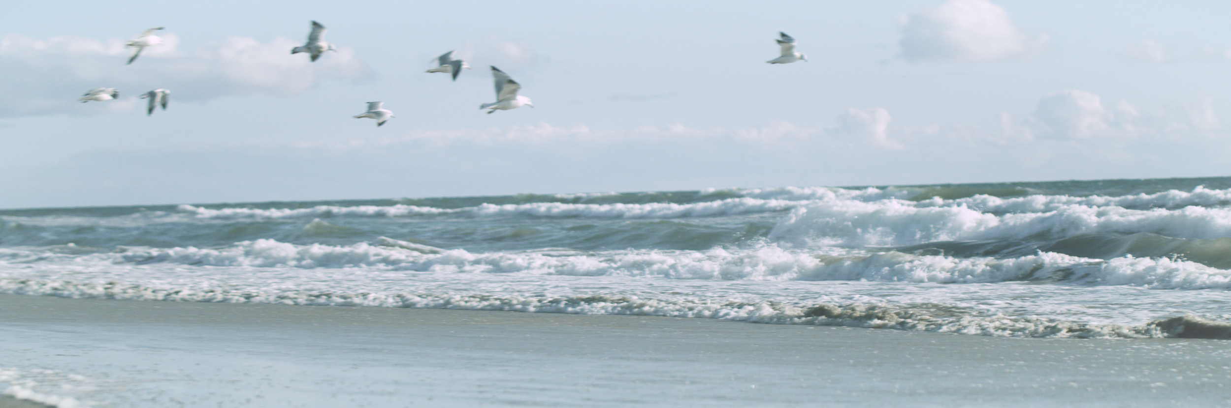 Screen Shot 2023-05-08 at 8.08.53 PM.png