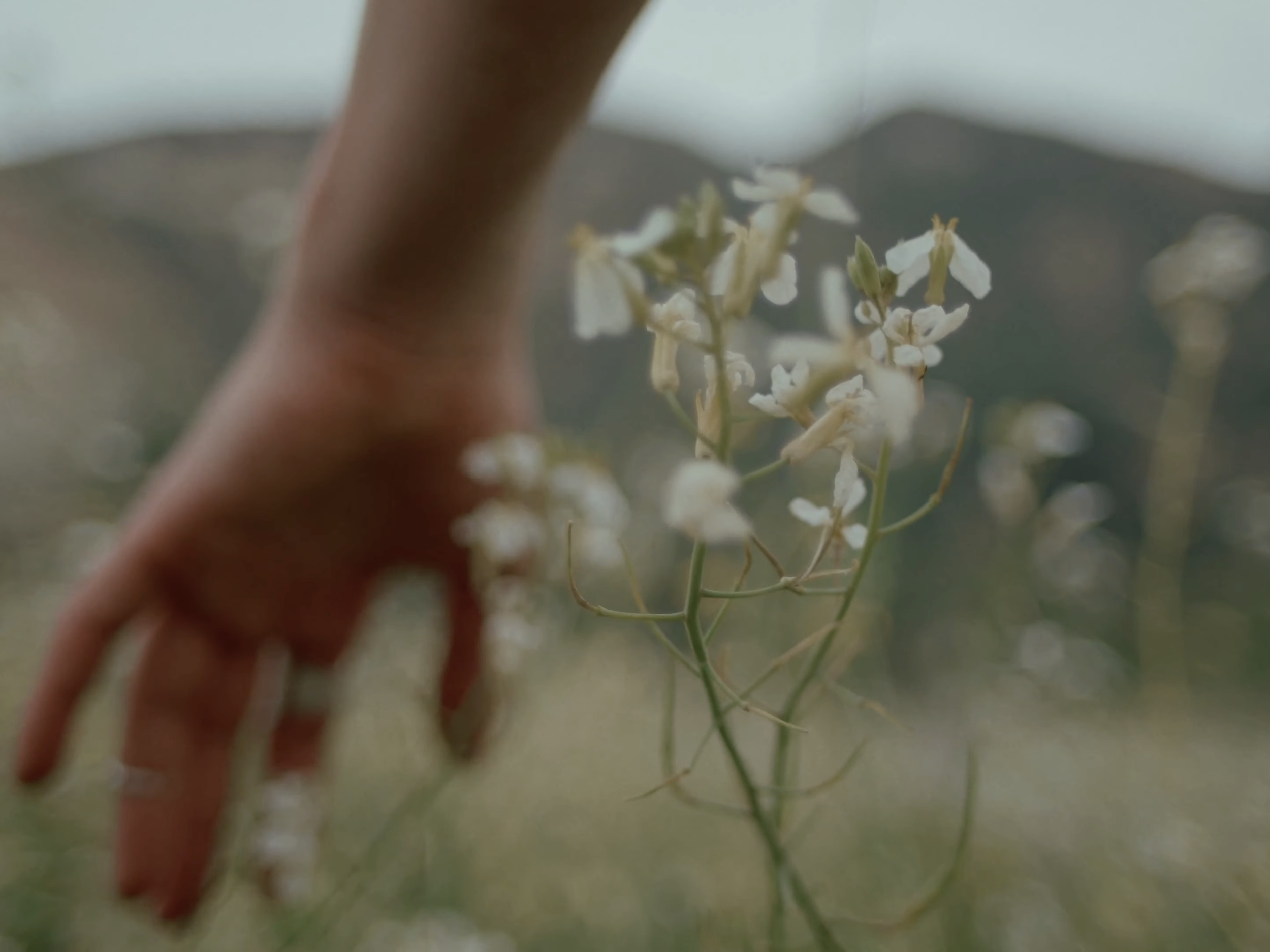 Screenshot 2026-02-26 at 2.36.12 PM.png