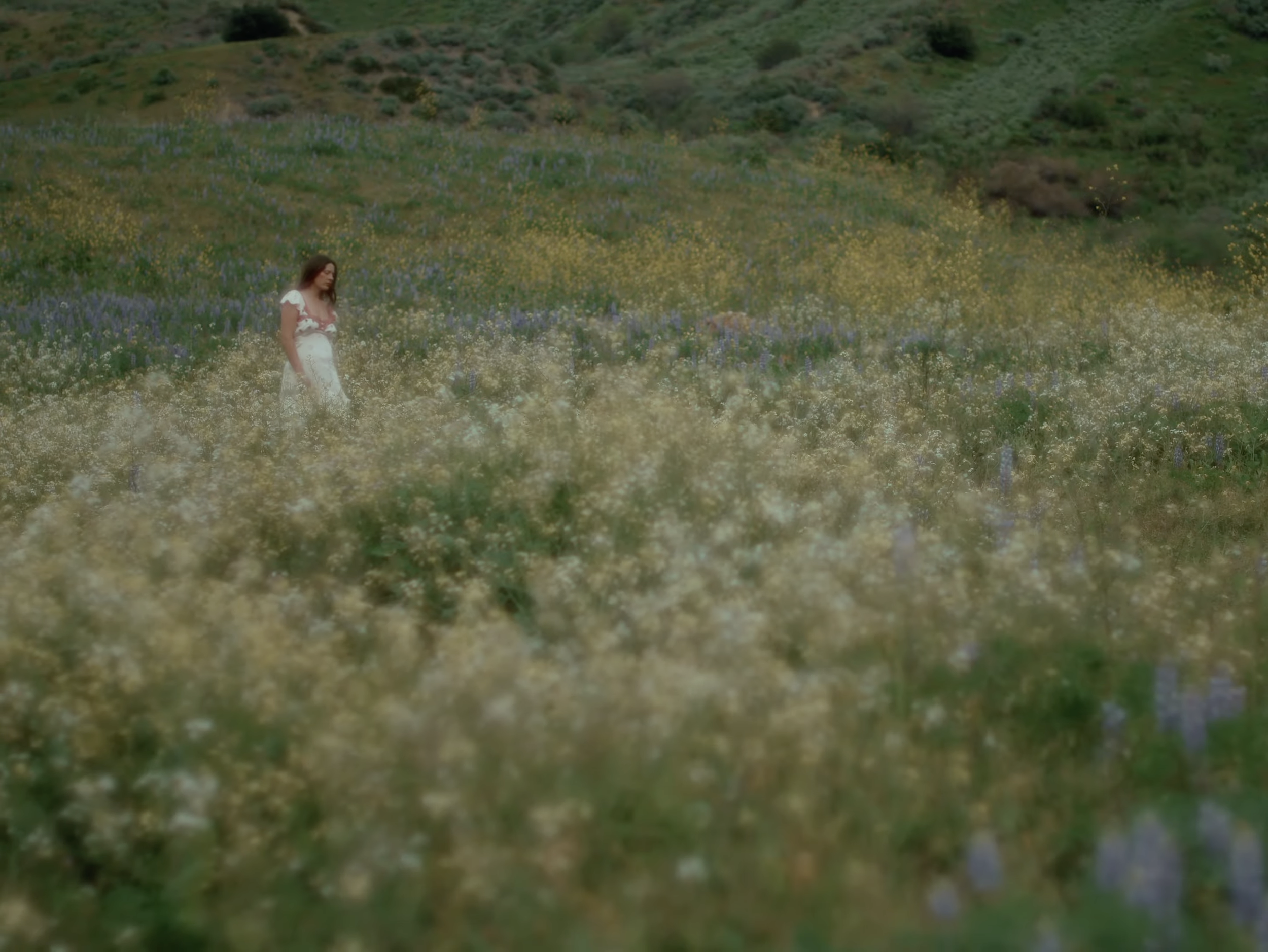 Screenshot 2026-02-26 at 2.24.01 PM.png