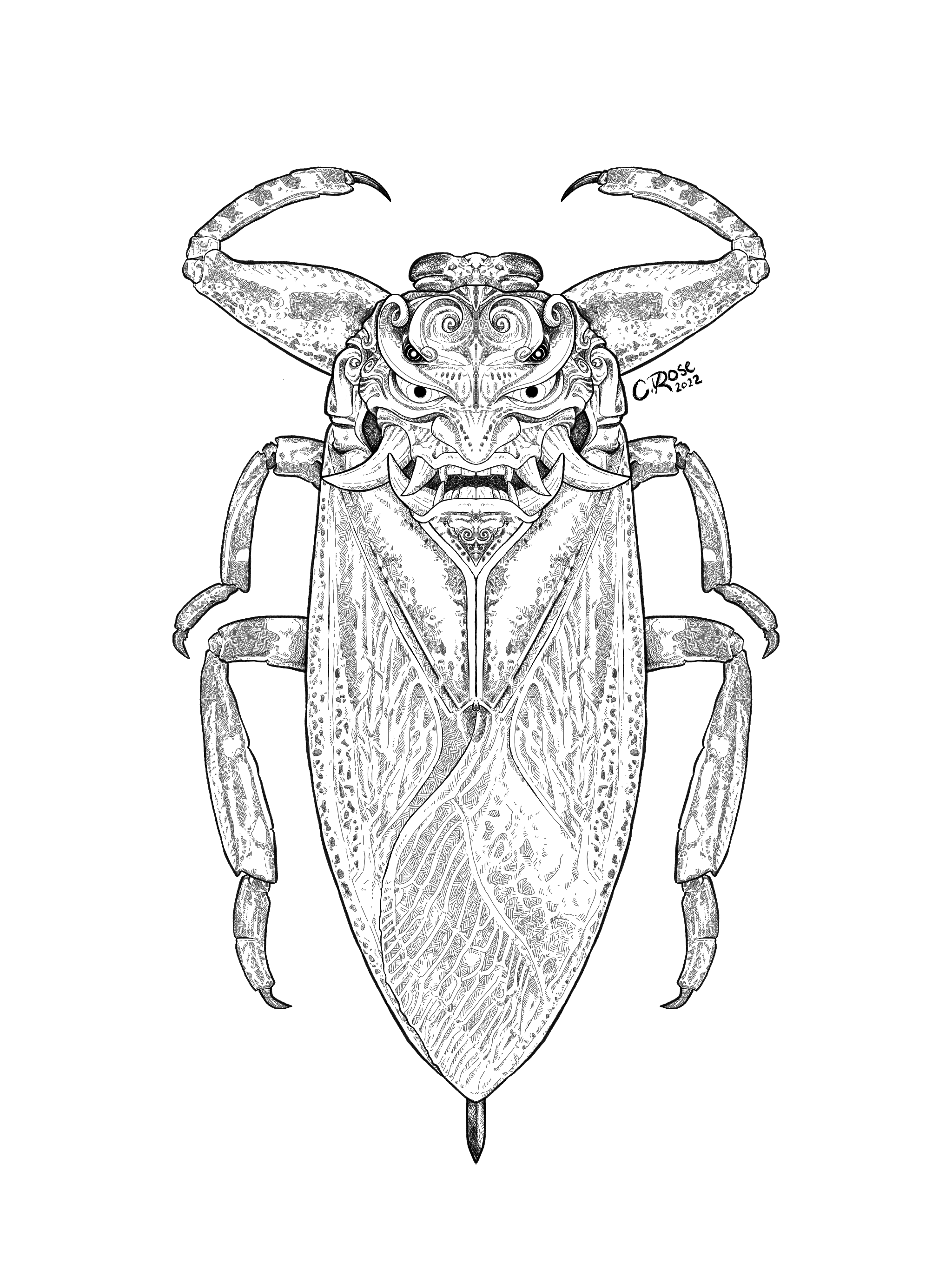 illustration-kabuki-bug-giant-water-beetle.png