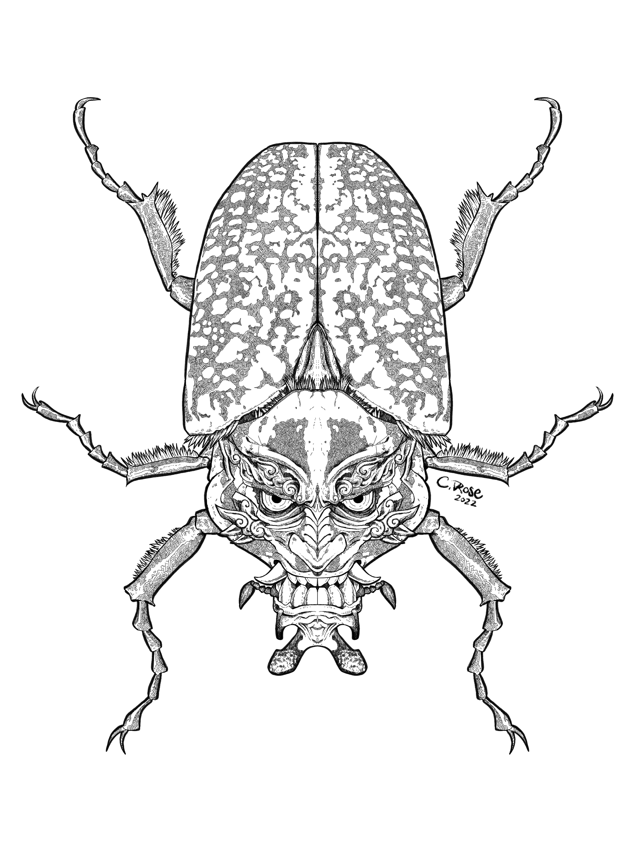 illustration-kabuki-bug-goliath-beetle.png