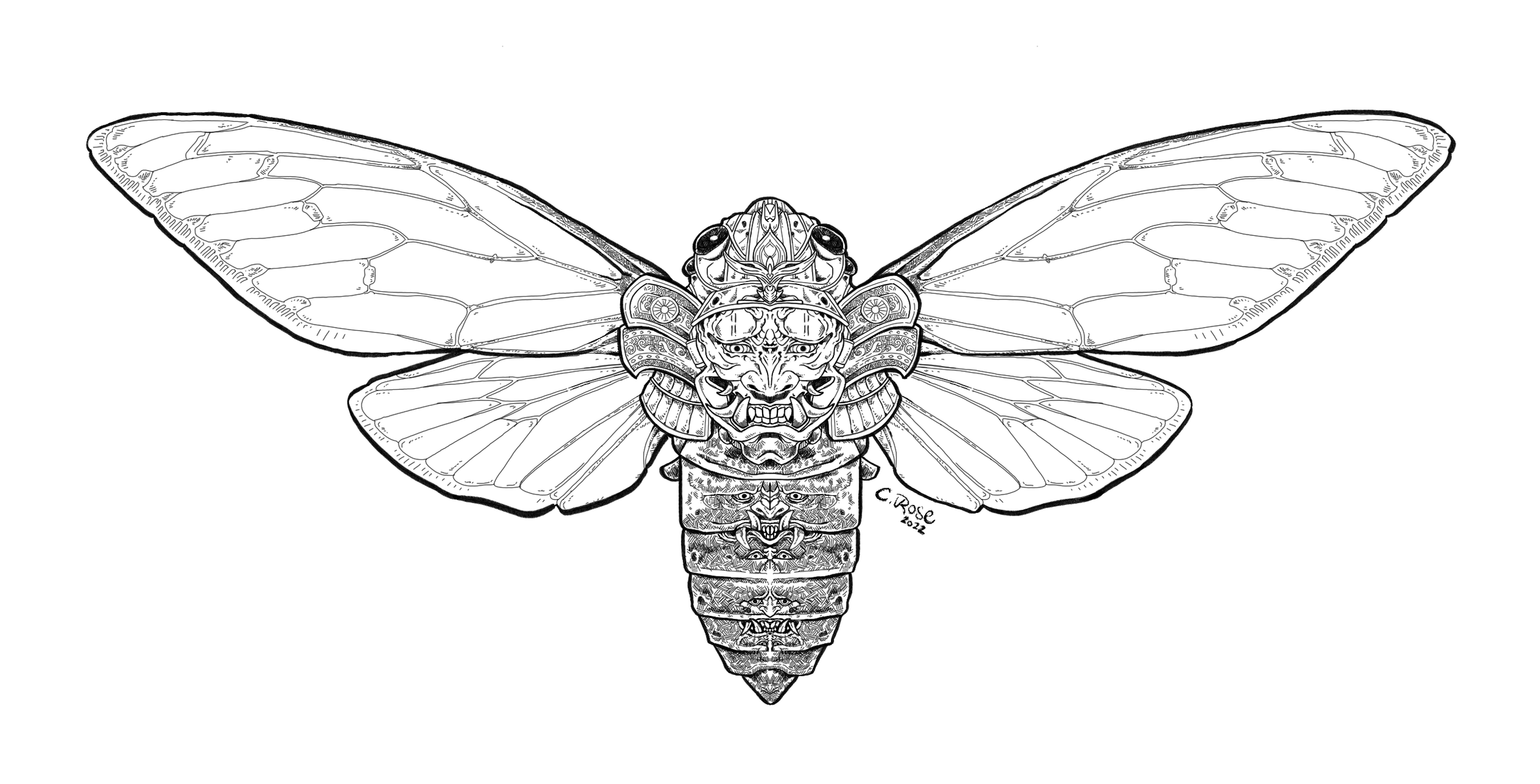 illustration-kabuki-bug-cicada.png