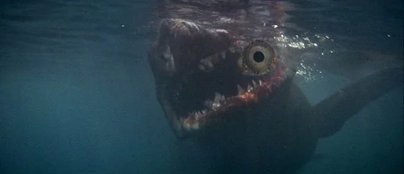 The Shak is Broken — Araki Kodo VI