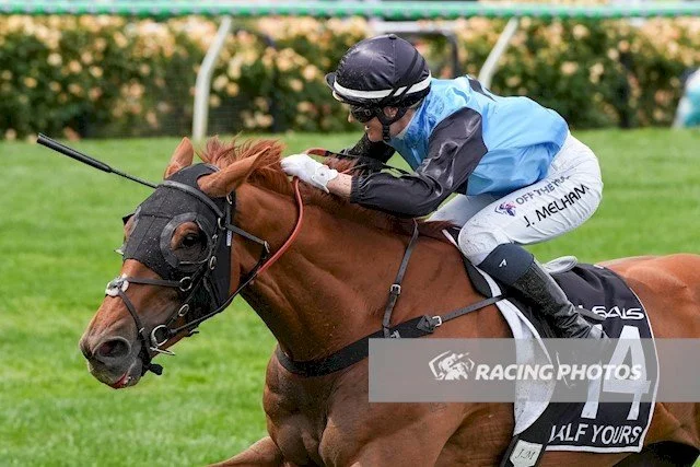 VRC Media Release Melbourne Cup Carnival attracts 286,000 attendees with spectacular racing and growth surging across all event metrics