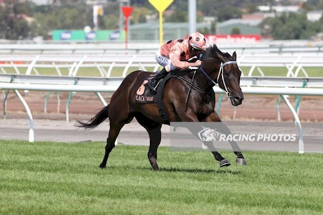Black Caviar Lightning Race Day to kick off Group 1 racing at Flemington