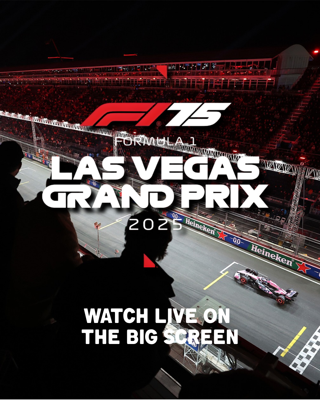 Watch live on the big screen.png