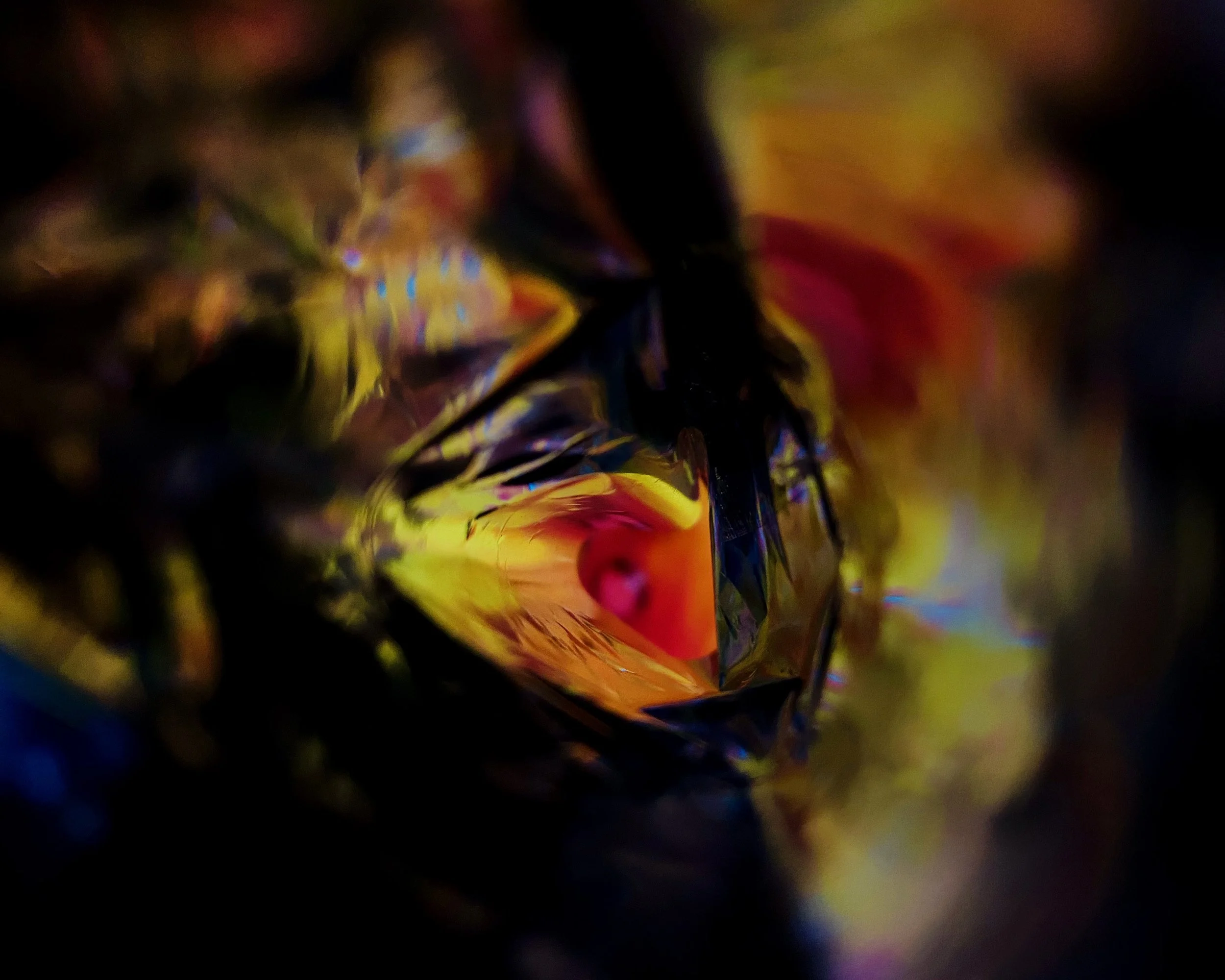 Cassidy,Paige_Project1_07.jpg
