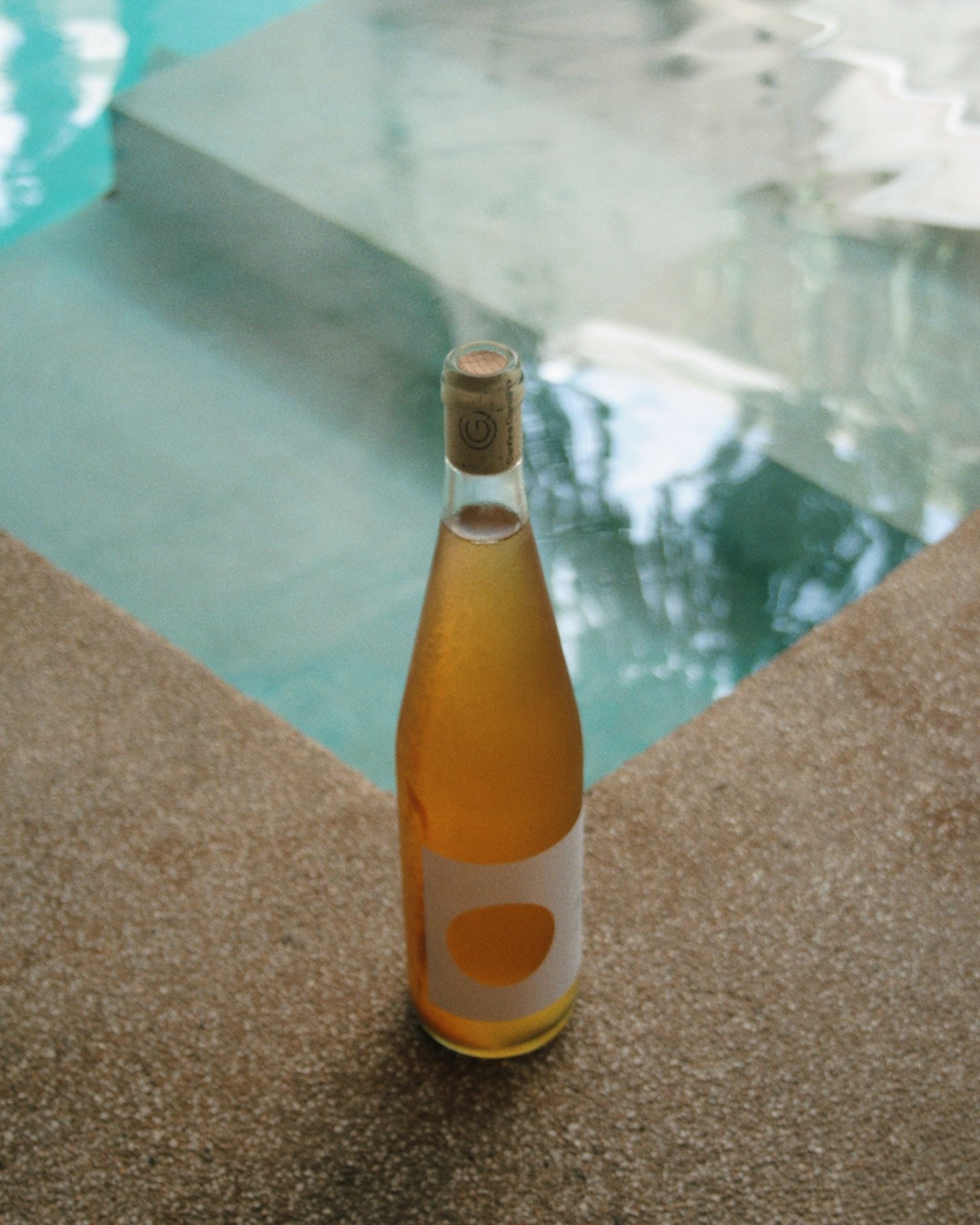 Vinos que calman la sed - venga y p&iacute;dale recomendaci&oacute;n a nuestra sommelier Gaby 🦀 🫧