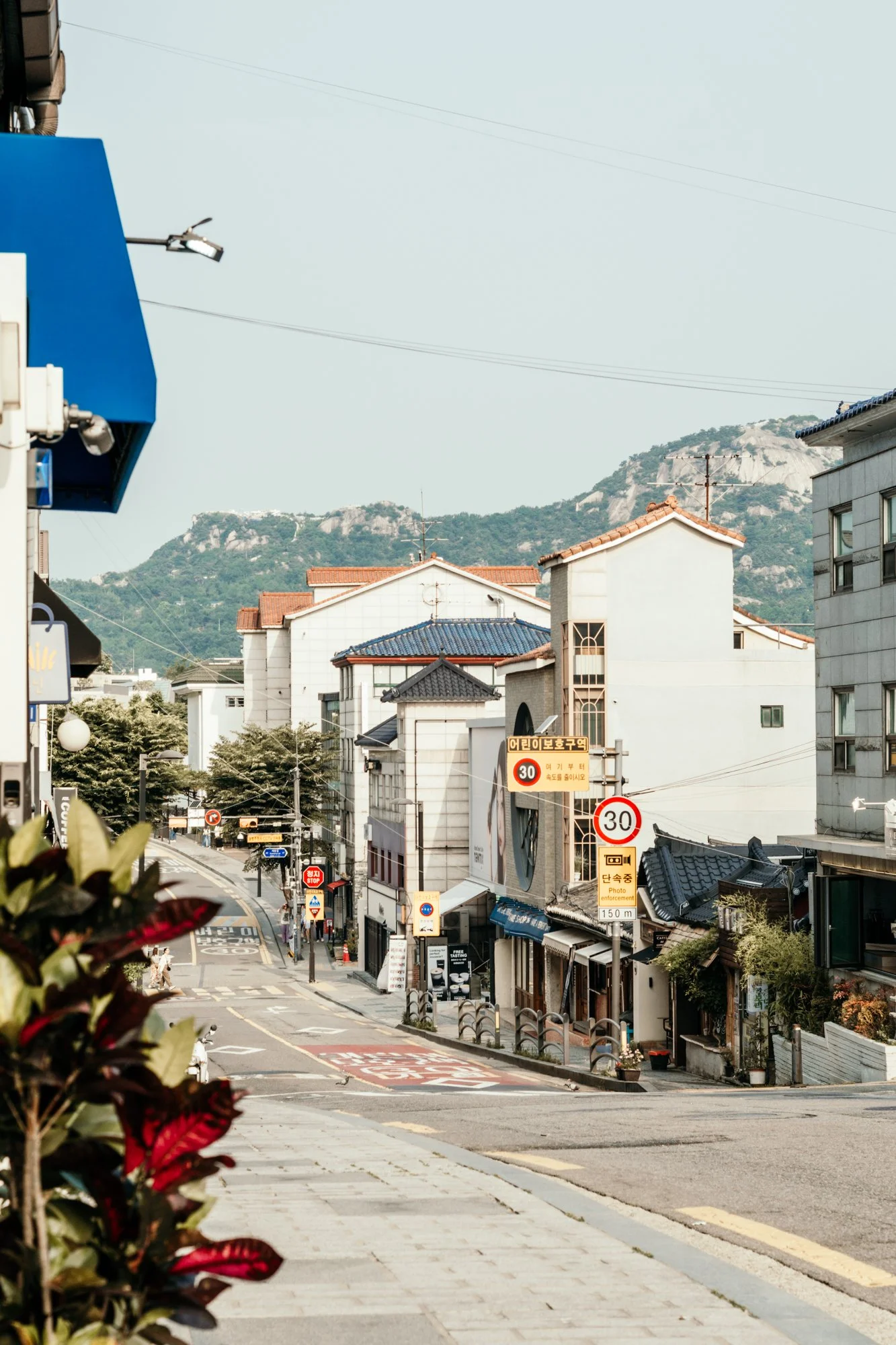 seoul (2 of 55).jpg
