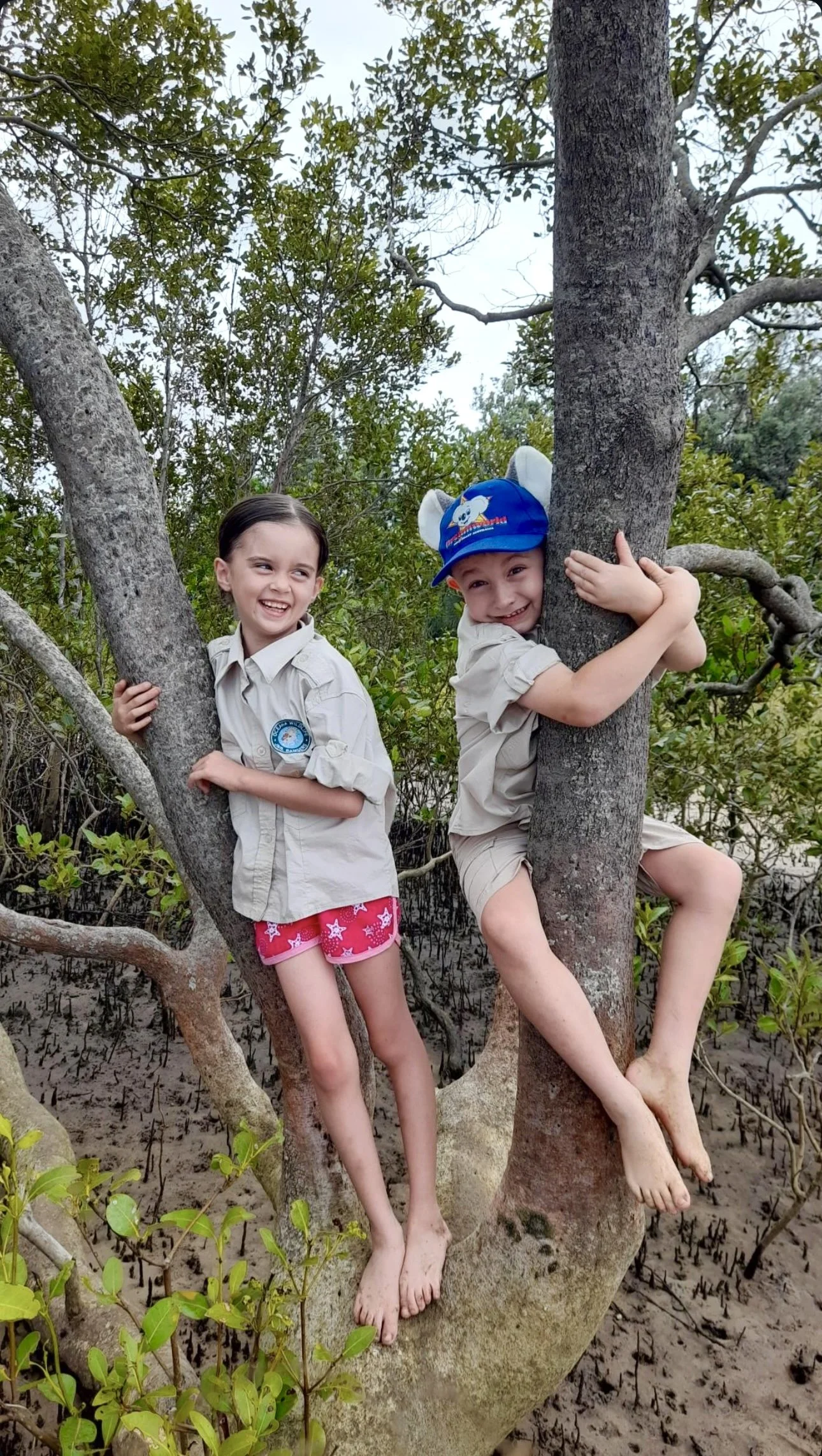 School & Community Programs