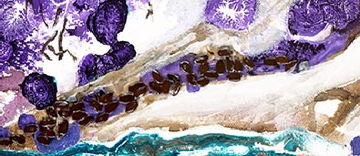 Jacaranda II_Bottom Middle.png