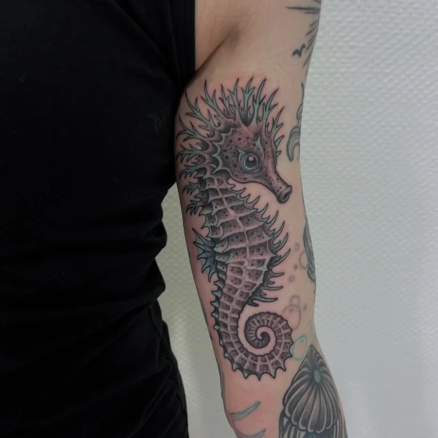 Custom Seahorse by Ann 
Freie Termine bei Ihr im Februar

#velten #veltentattoo #tattoovelten #tattoo #hennigsdorf #oranienburg #hohenneuendorf #birkenwerder #kremmen #b&auml;renklau #leegebruch #marwitz #lehnitz #tattoo #oberhavel #ohv #spandau #ber