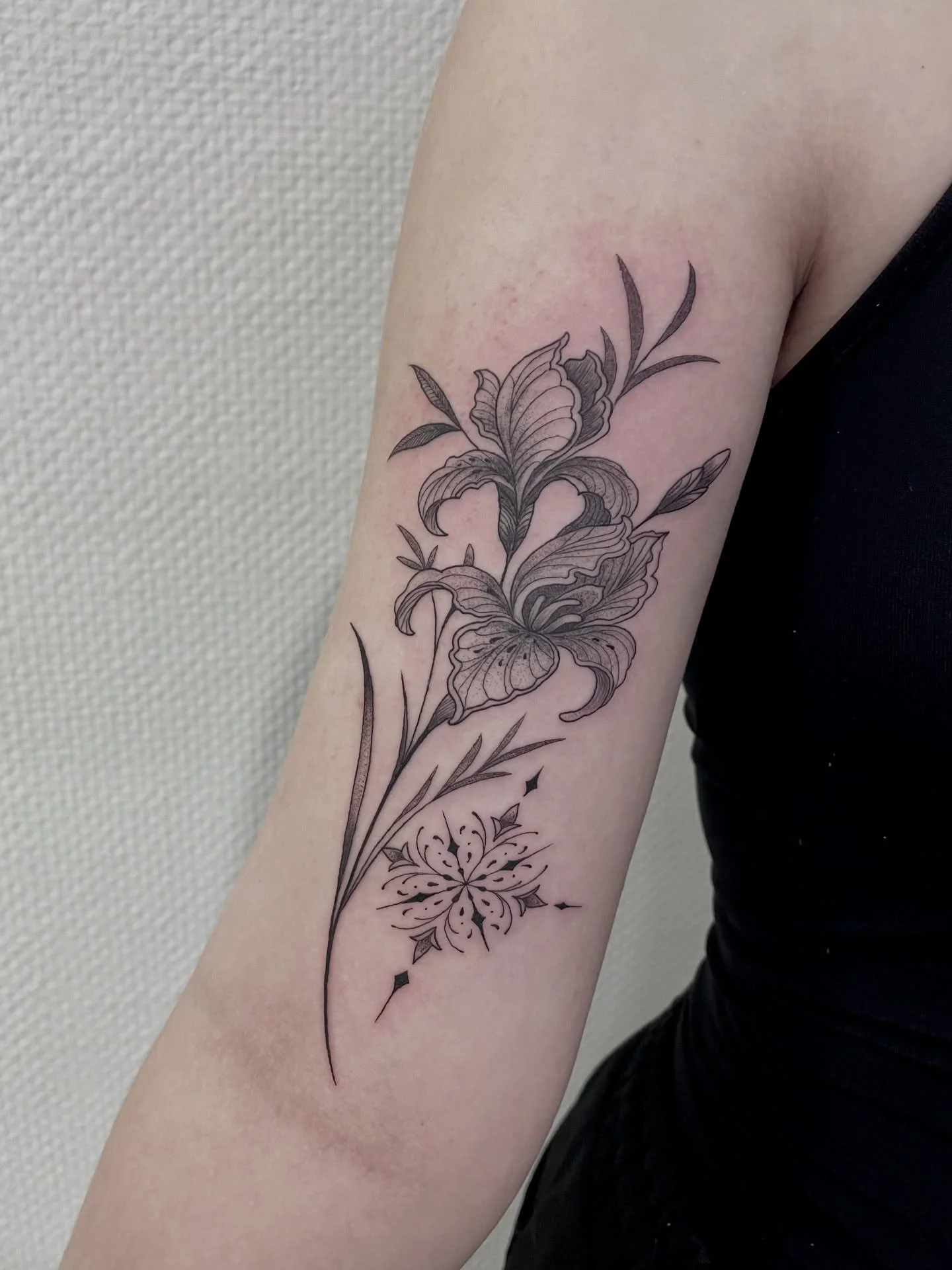 Fineline Iris Flower 
By Ann