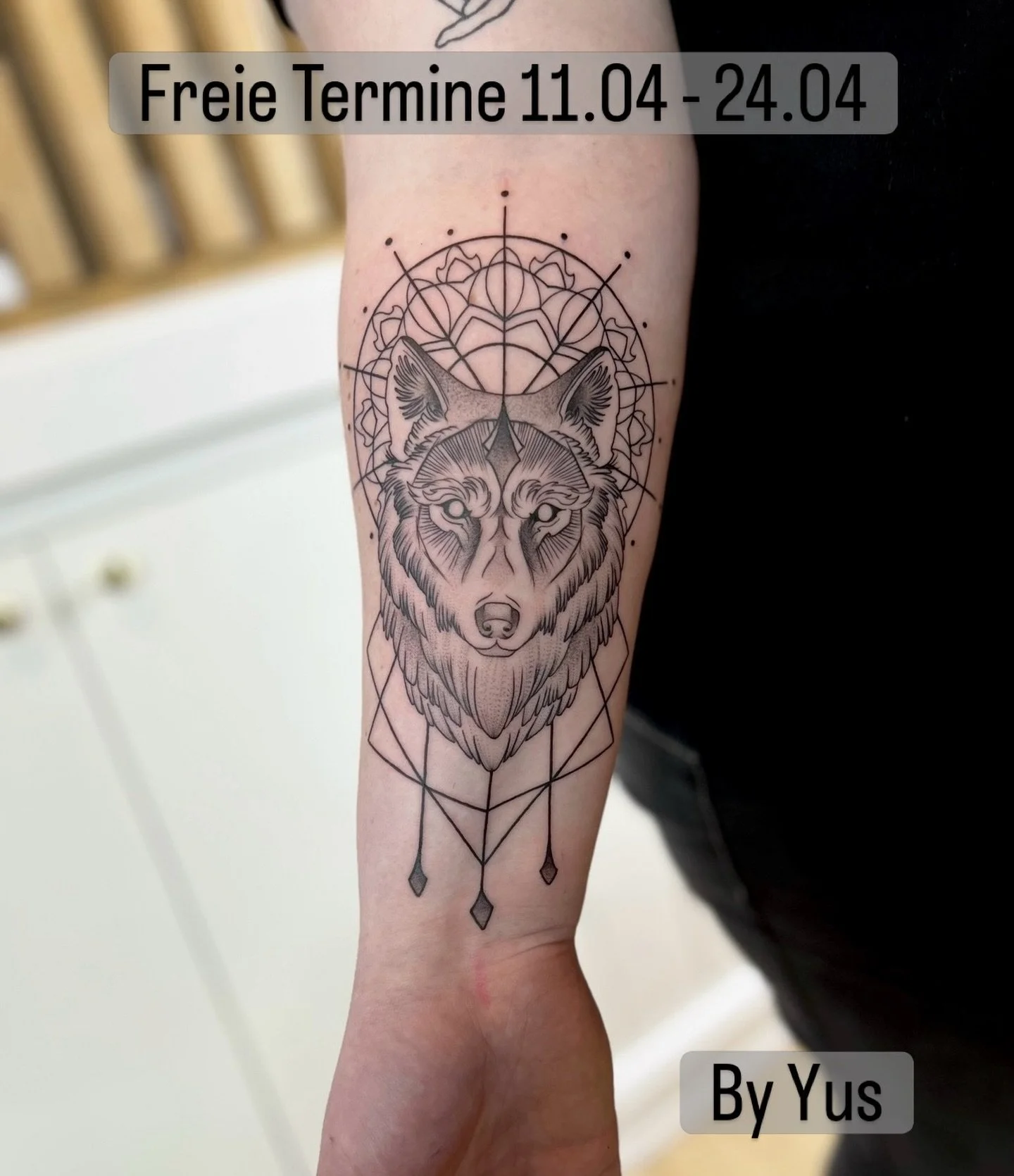 Termine via PN, WhatsApp oder www.tattoovelten.de