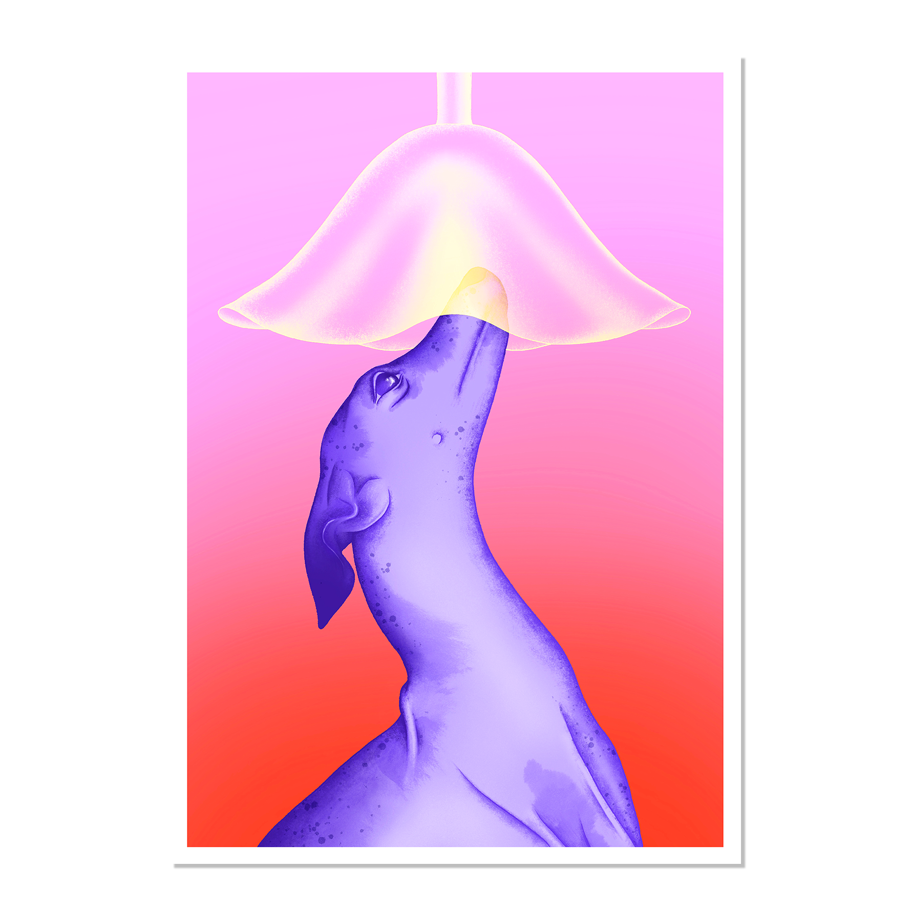 Plénitude