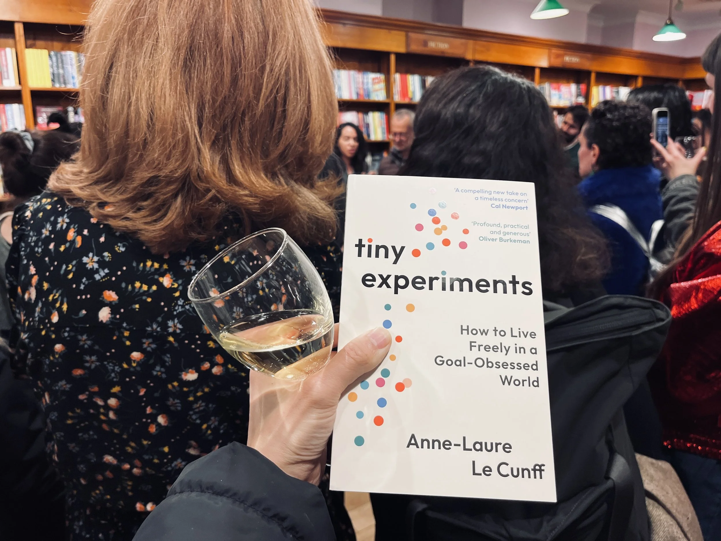 Tiny Experiments by Anne-Laure Le Cunff