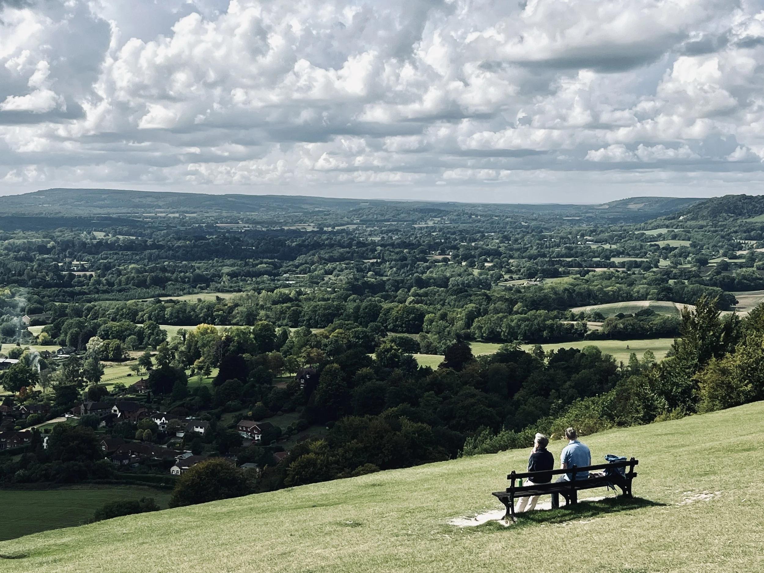 Running from London to Surrey Hills (Reigate Hill)