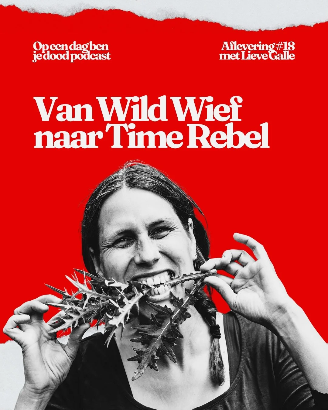 &ldquo;Ik ben eigenlijk een labrador.&rdquo;

Dat realiseerde @wildplantforager zich toen ze meedeed met Time Rebels.

Snel enthousiast. Altijd ja zeggen.
Zonder na te denken: krijg ik dit tijdsgewijs wel rond?

Een allemans vriend ook.
En haar eigen