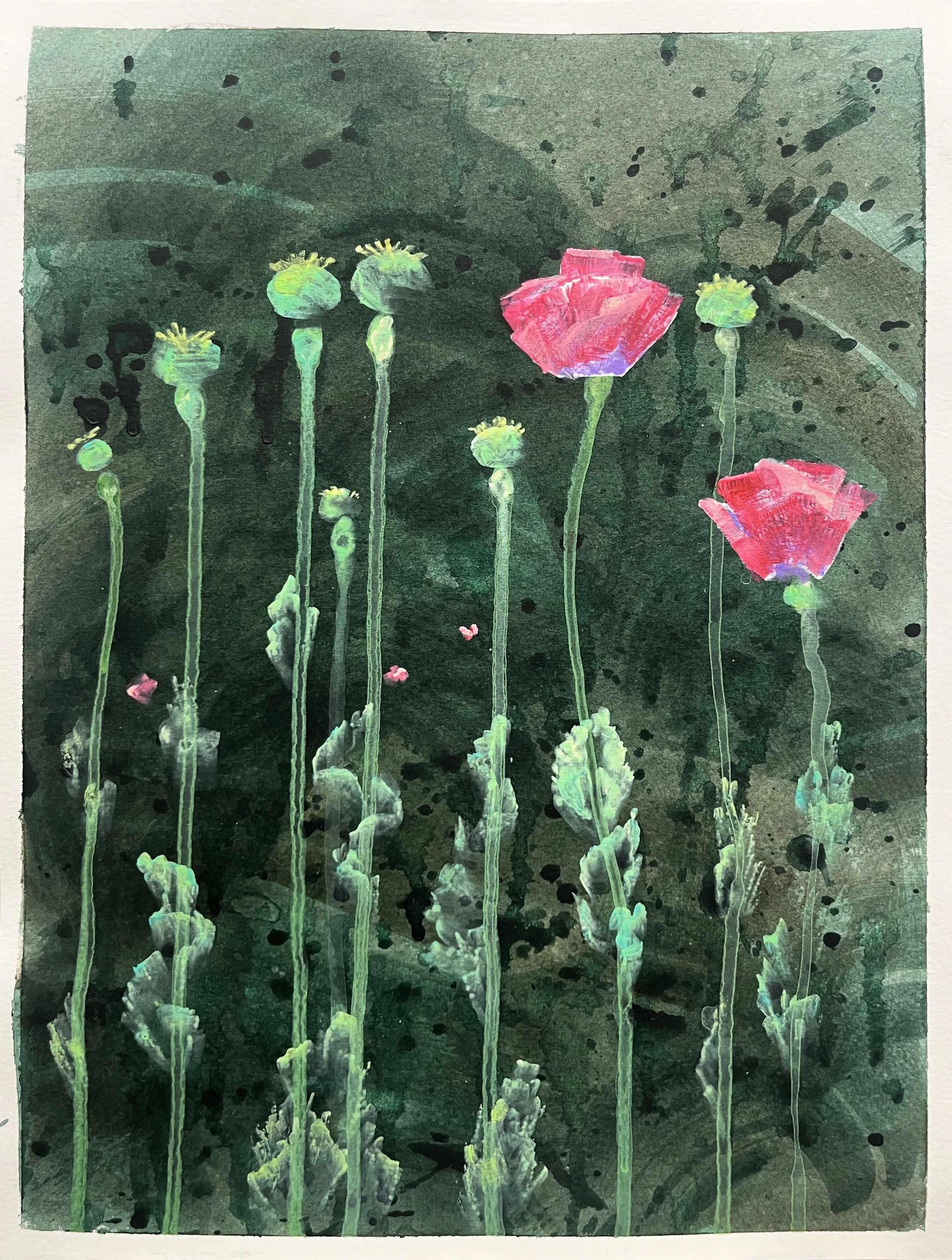  Himalayan poppies,  acrylic on paper, 25x35cm. Private collection