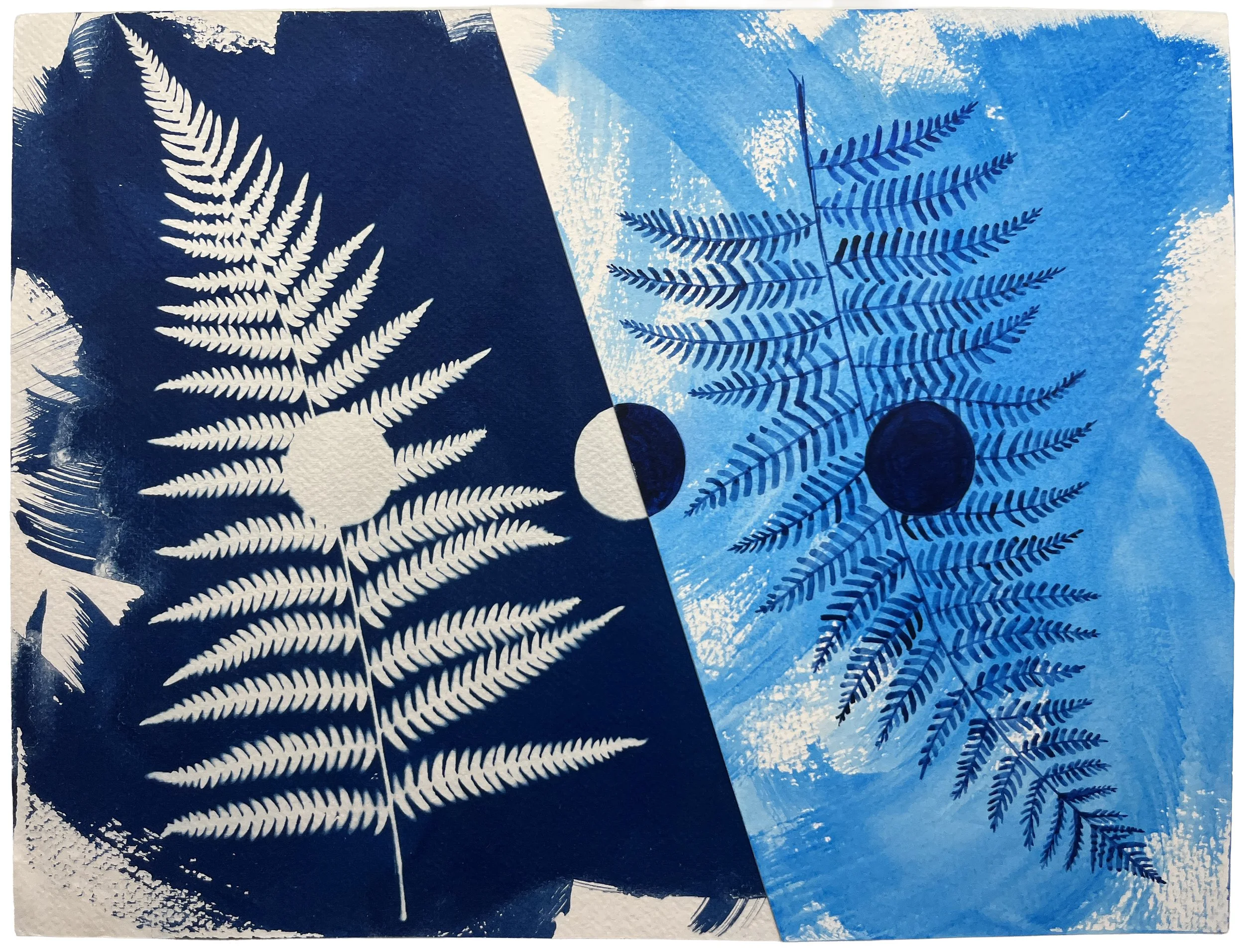  Fern phase II,  cyanotype and watercolour on paper, 40x50cm. Collection of Stefan Schrijnen and Chiara Alfano