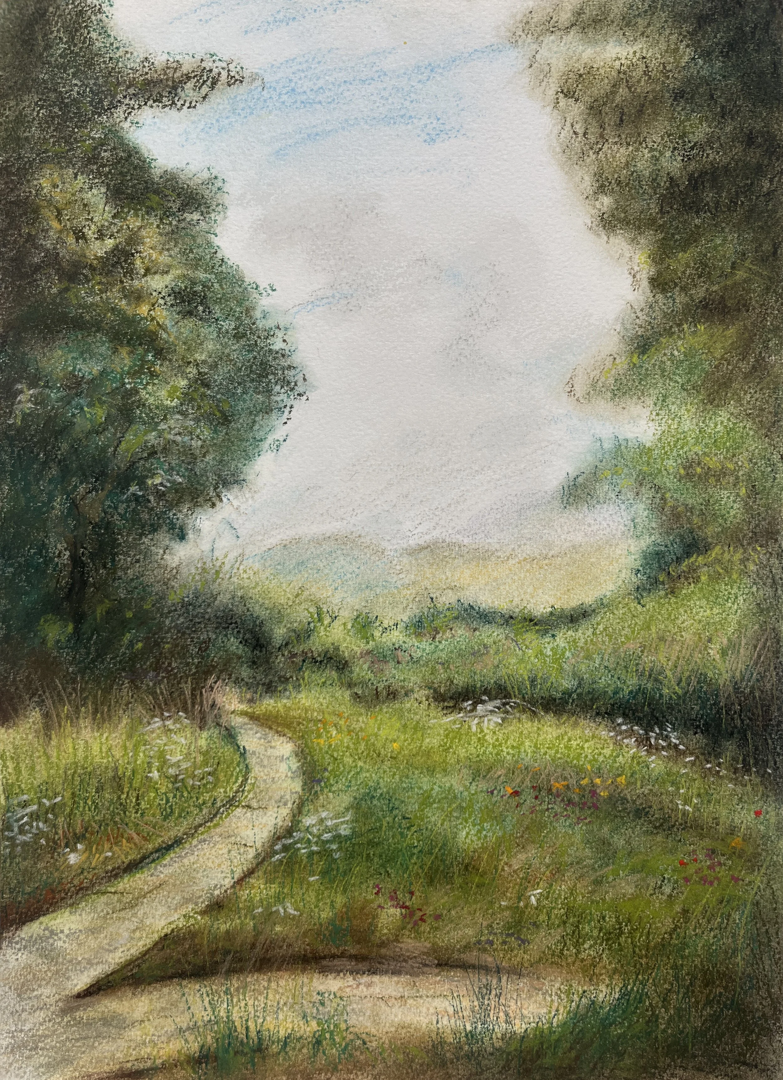  Himalayan path,  pastel on paper, 35x25cm.