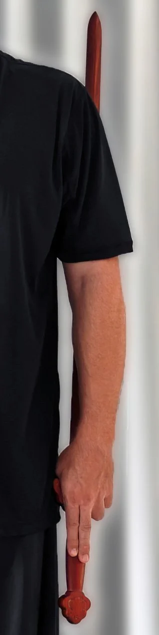 WJian Arm Only.jpg