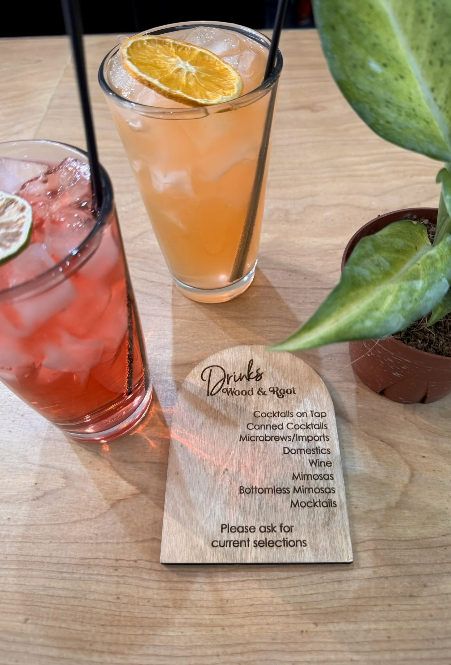 Meridian Idaho Wood and Root Bar - Plants and Cocktails - Things to do in Boise Idaho 3.JPEG