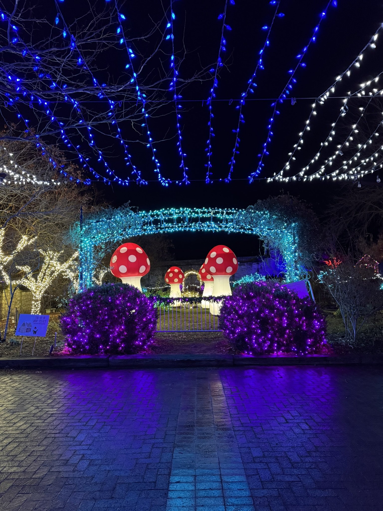 Winter Garden aGlow at Idaho Botanical Gardens 1.JPEG