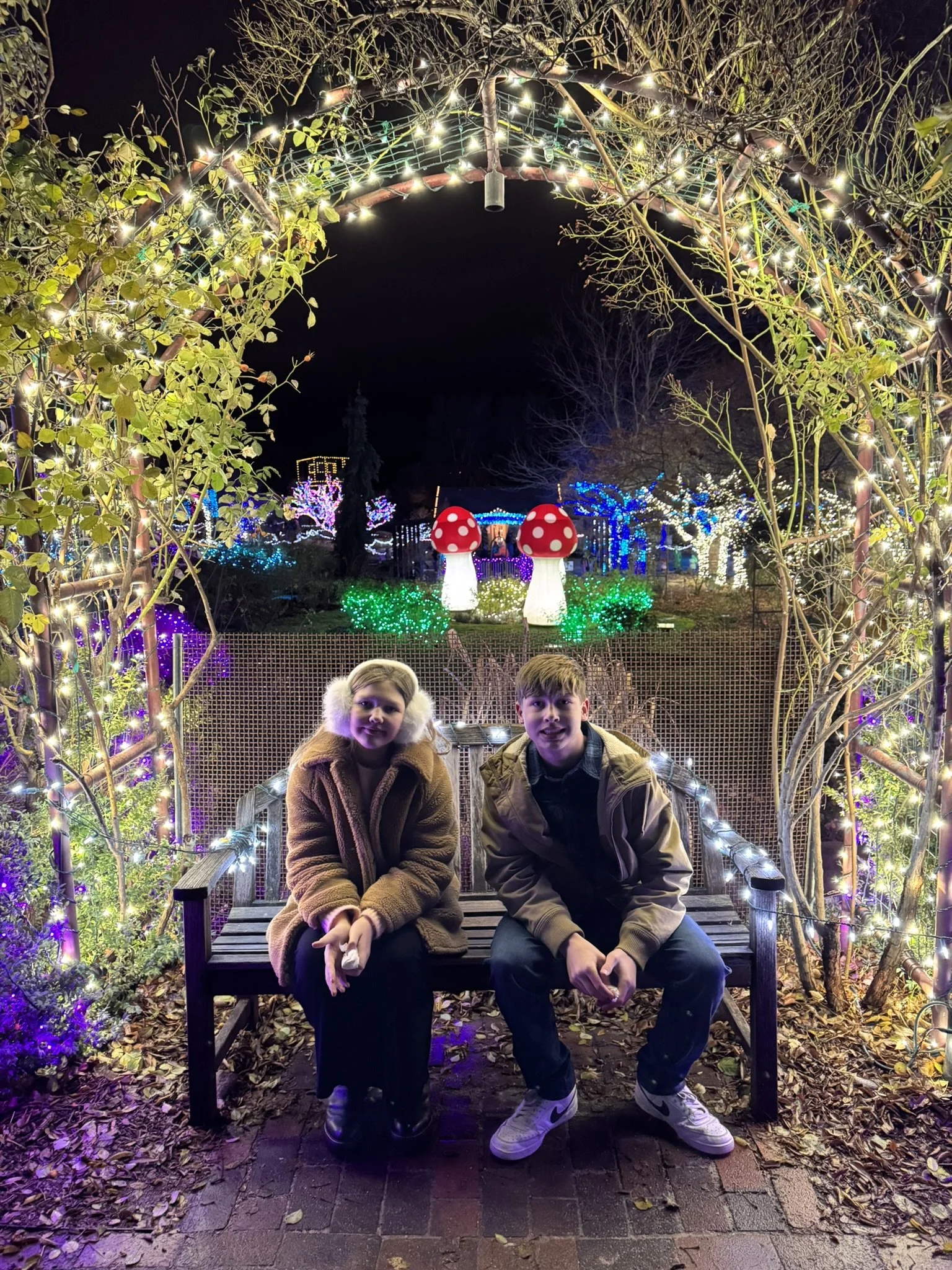 Winter Garden aGlow at Idaho Botanical Gardens 5 (1).JPEG