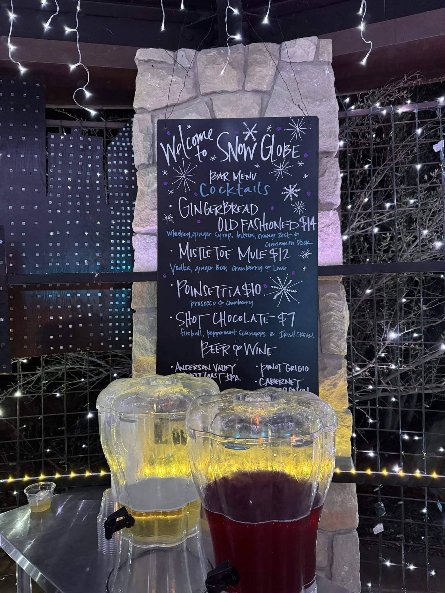 Winter Garden aGlow at Idaho Botanical Gardens 6 (1).JPEG