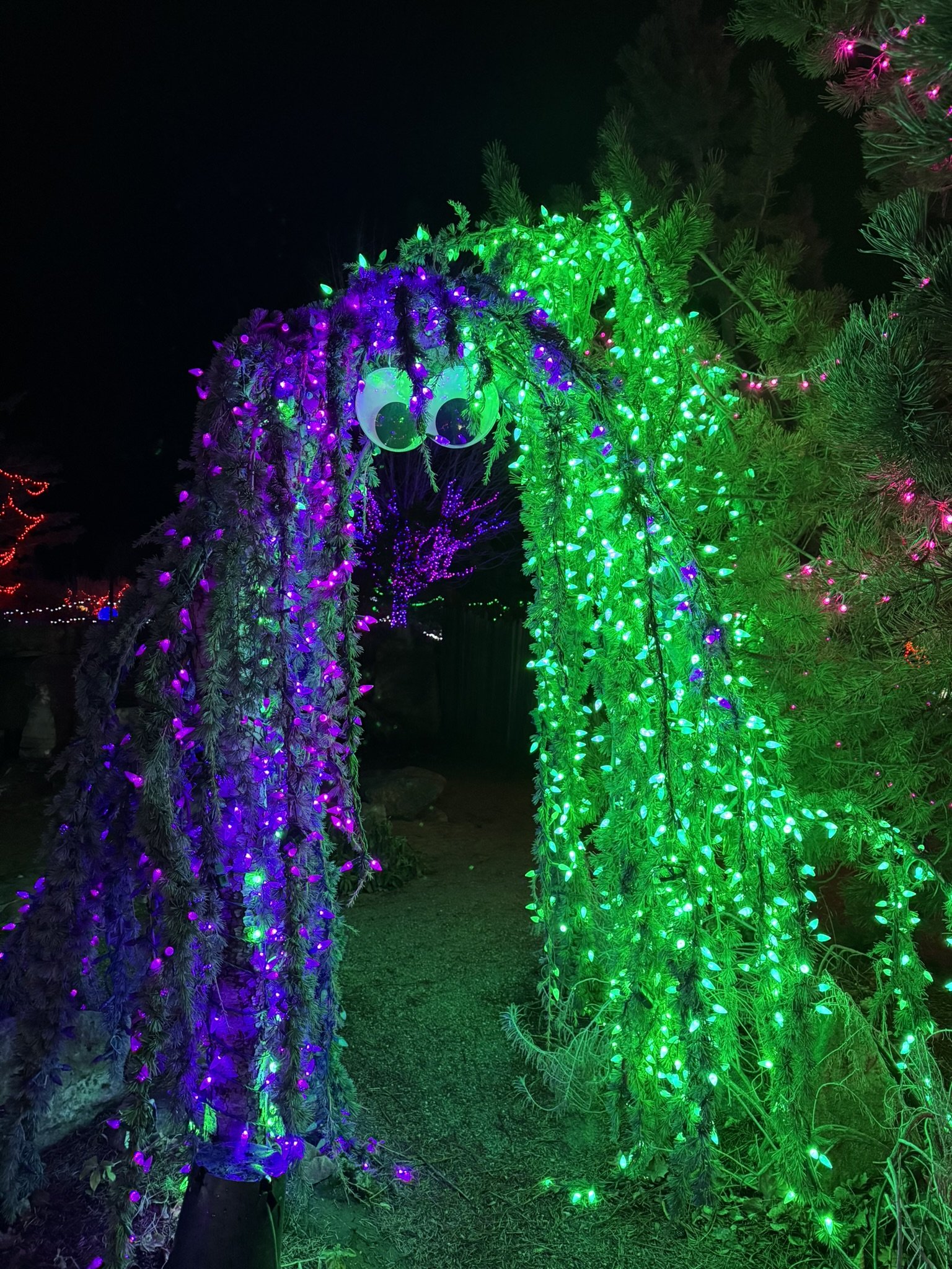 Winter Garden aGlow at Idaho Botanical Gardens 7.JPEG