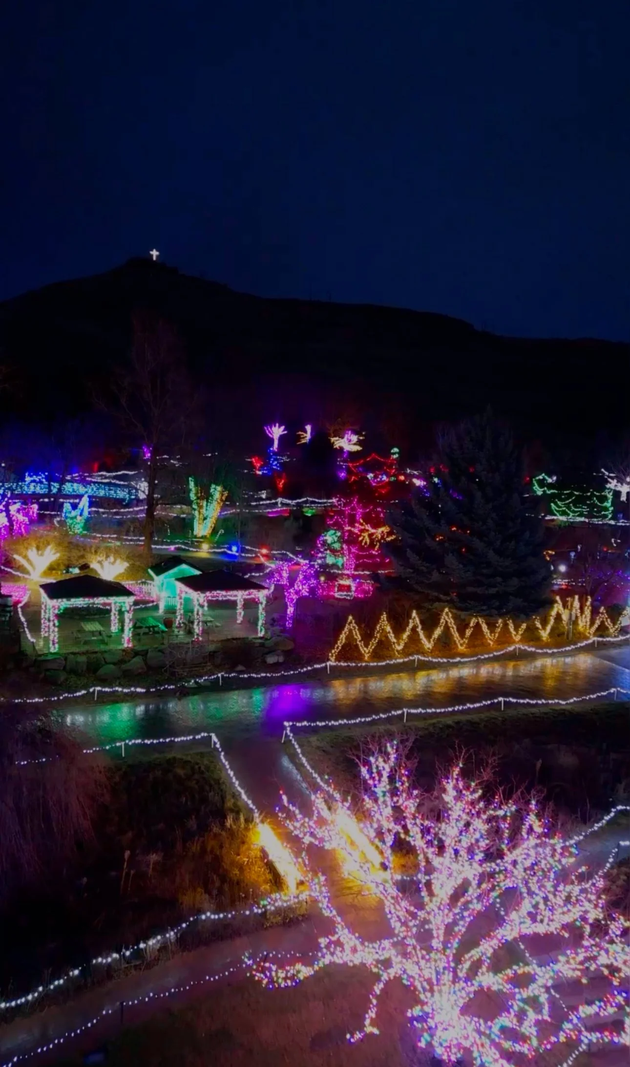 Winter Garden aGlow at Idaho Botanical Gardens 8 (1).JPEG