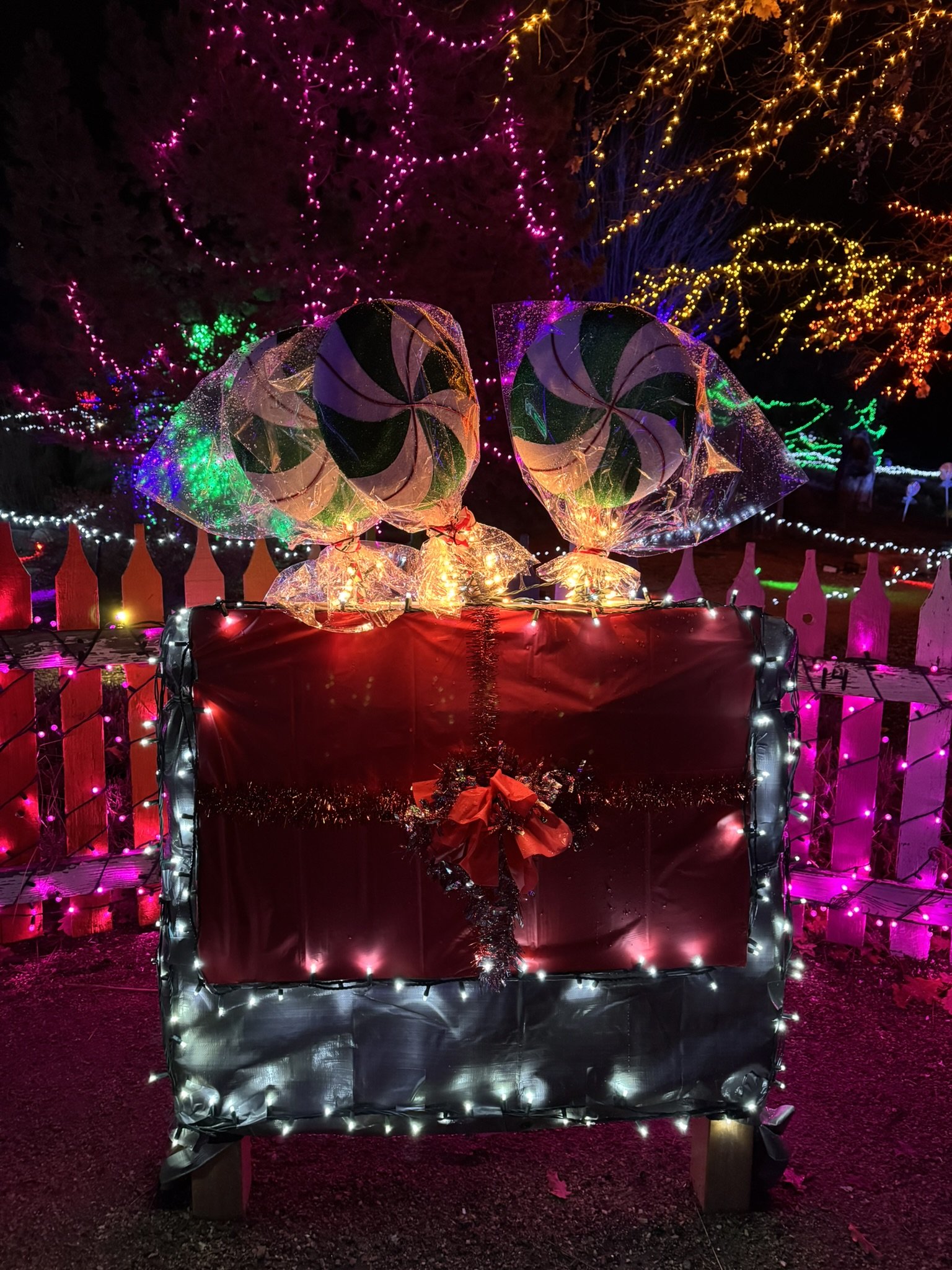 Winter Garden aGlow at Idaho Botanical Gardens 9.JPEG