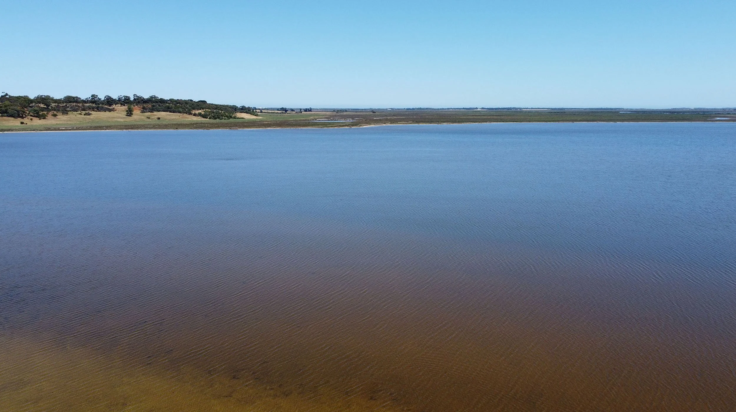 Lake Connewarre VIC