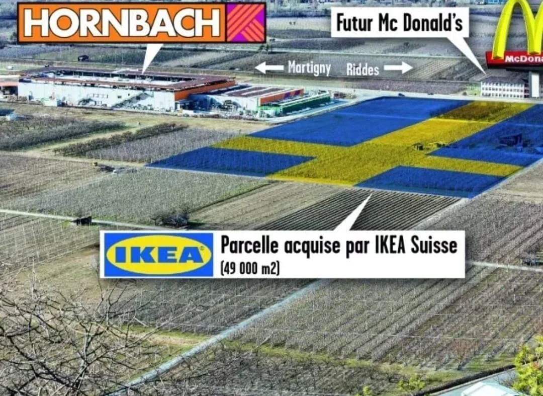 L'&Eacute;CONOMIE POUR LES NULS

Donn&eacute;e
En Suisse il y a 800'000 pauvres qui peinent &agrave; se nourrir. &Agrave; Riddes il y a 50'000 m2 de vergers.

Question
Comment nourrir la population ?

Option 1
On cultive les fruits et les l&eacute;gu